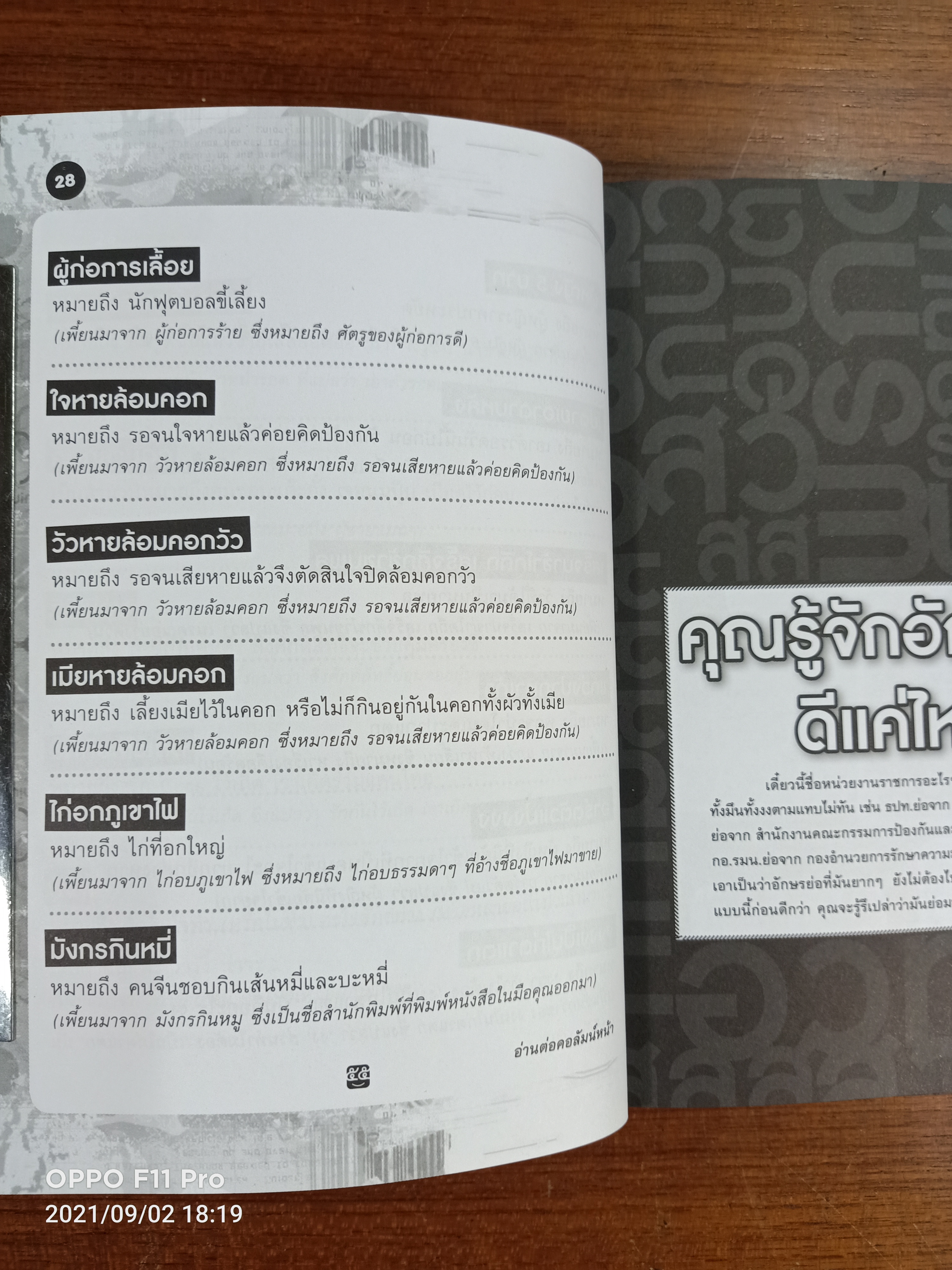 ฮิกาซีน iPad stuPad / มังกรกินหมู