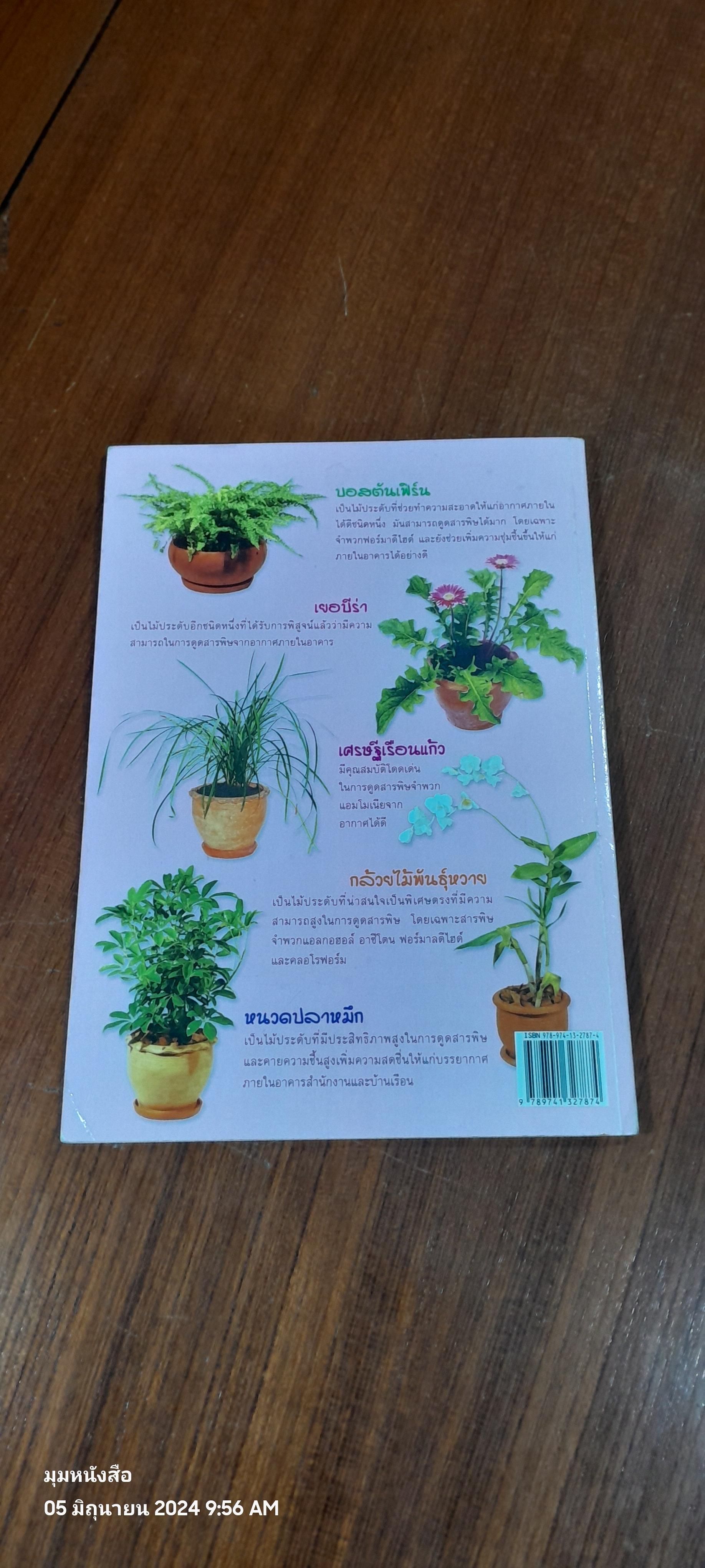 ไม้ประดับดูดสารพิษ ( มีรอยขีดเขียนด้านใน ) / คมสัน หุตะแพทย์