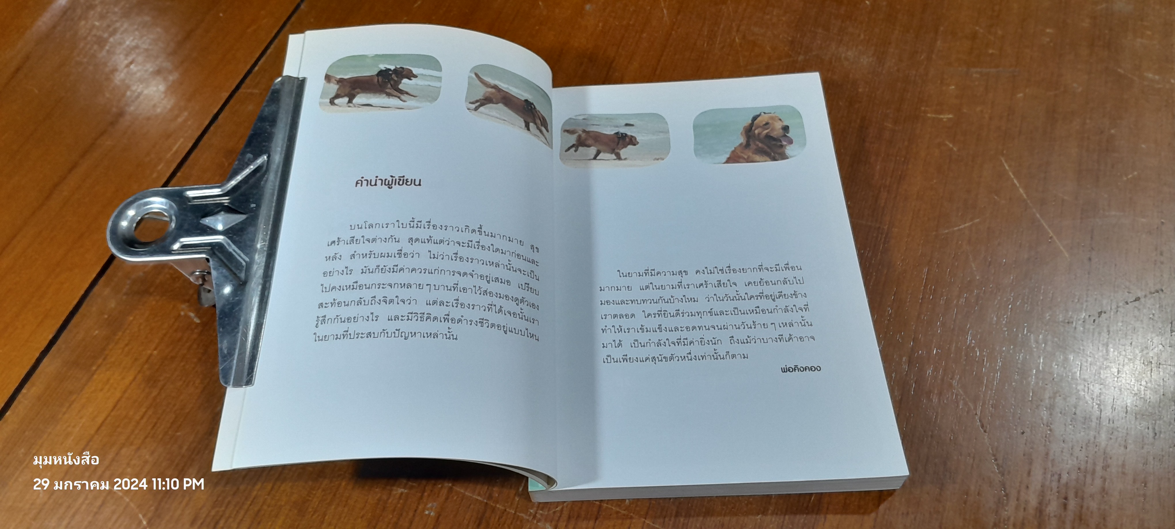 ผมชื่อคิงคองคร้าบ เล่ม 2 ตอน รักไม่มีพรมแดน