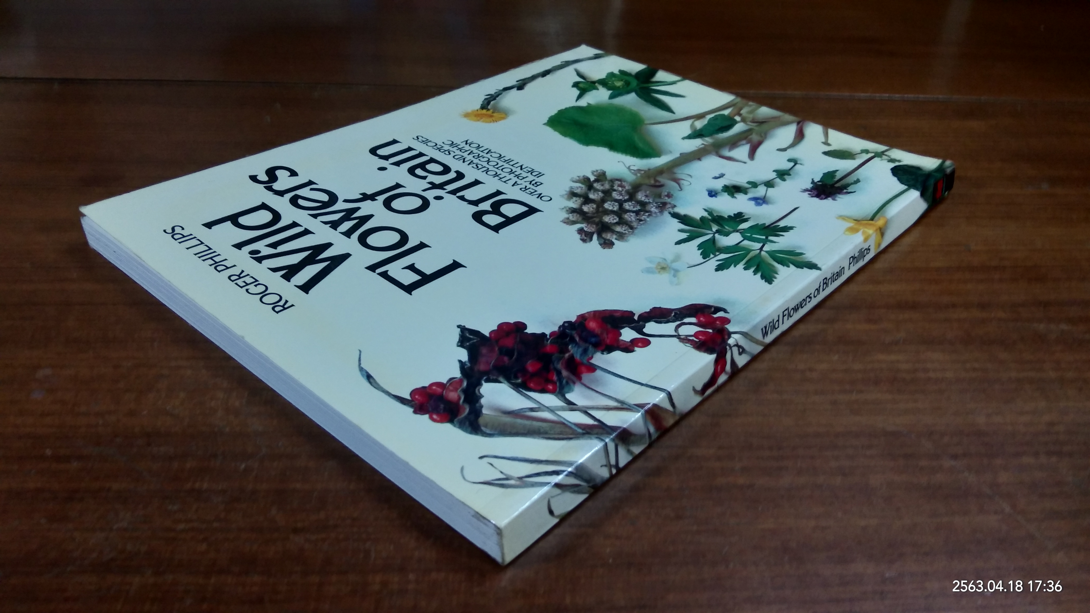 Wild Flowers of Britain Phillips / ROGER PHILLPS