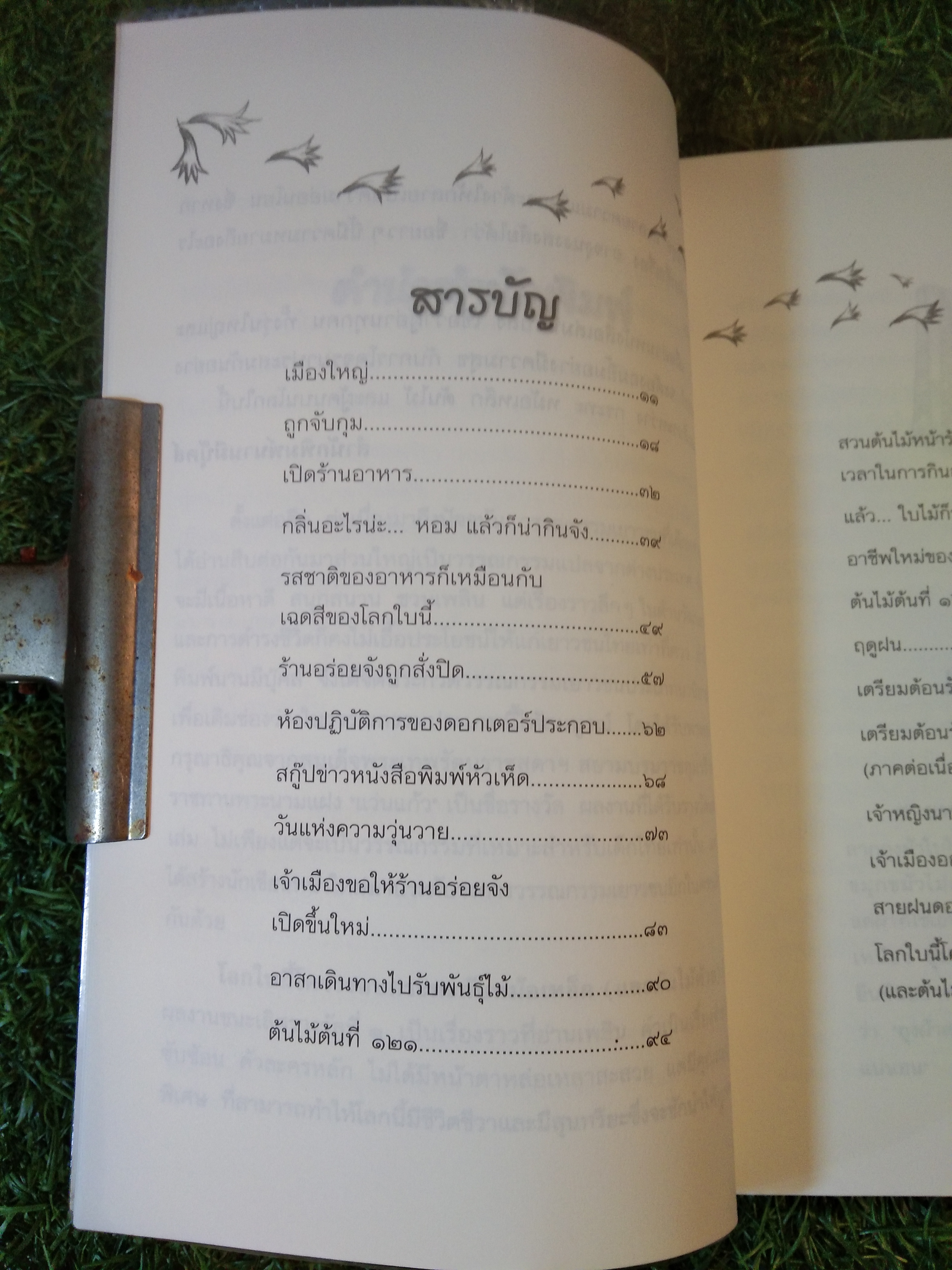 โลกใบนี้โคจรรอบกระทะกับหม้อเหล็ก (และต้นไม้ด้วย) / คณา คชา