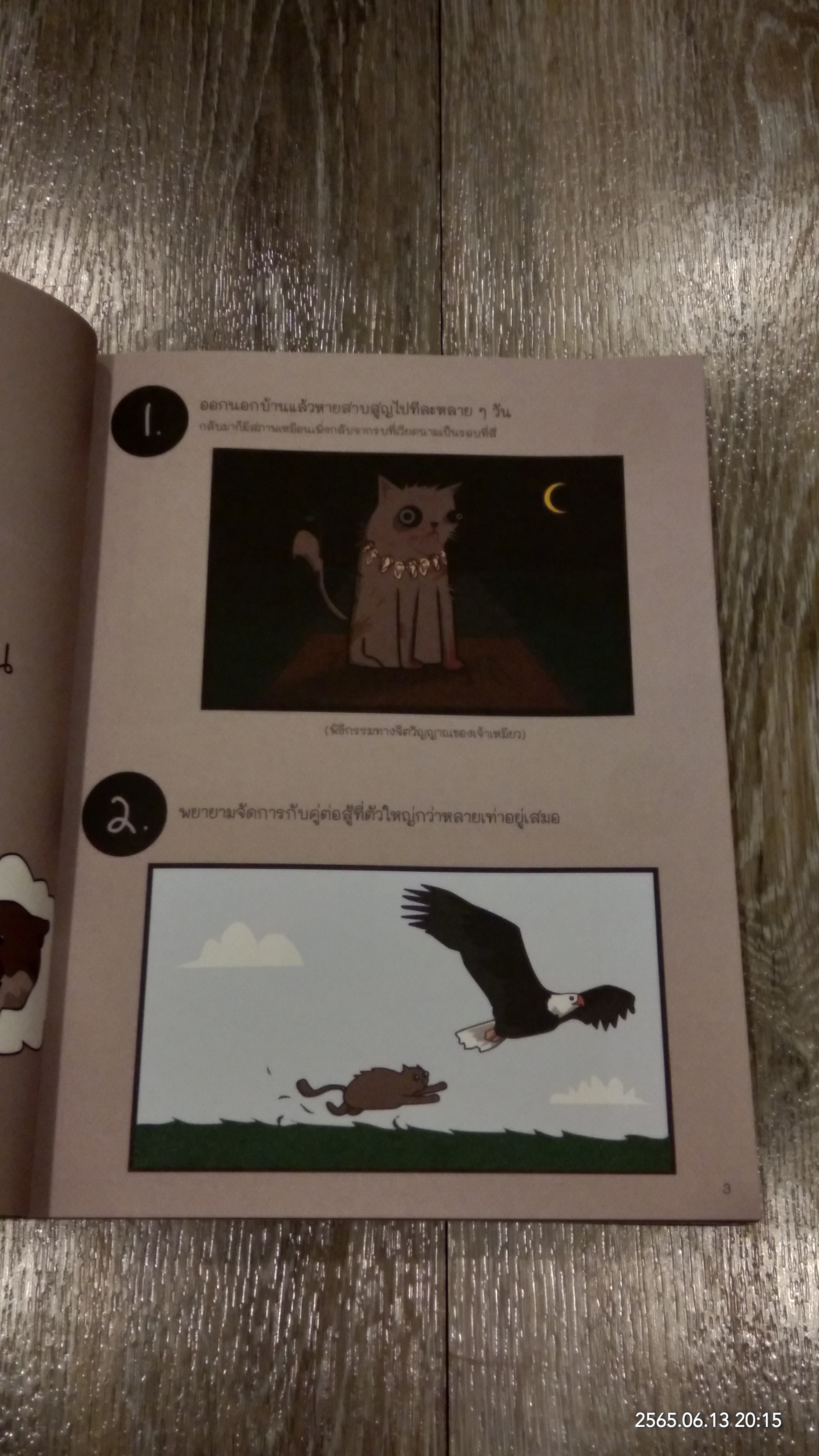 จะรู้ได้ยังไงว่าแมวกำลังวางแผนฆ่าคุณ / Matthew Inman