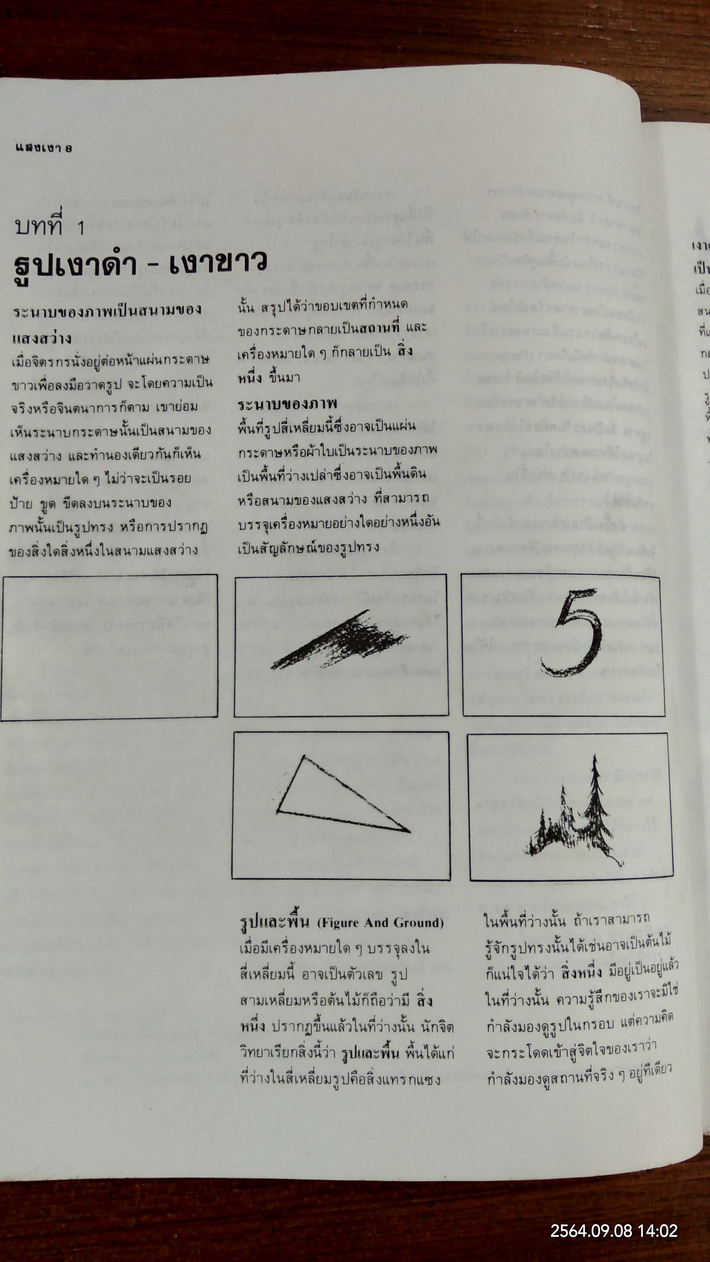 แสงเงา เนื้อและการสร้างสรรค์ / นิวิต หะนนท์