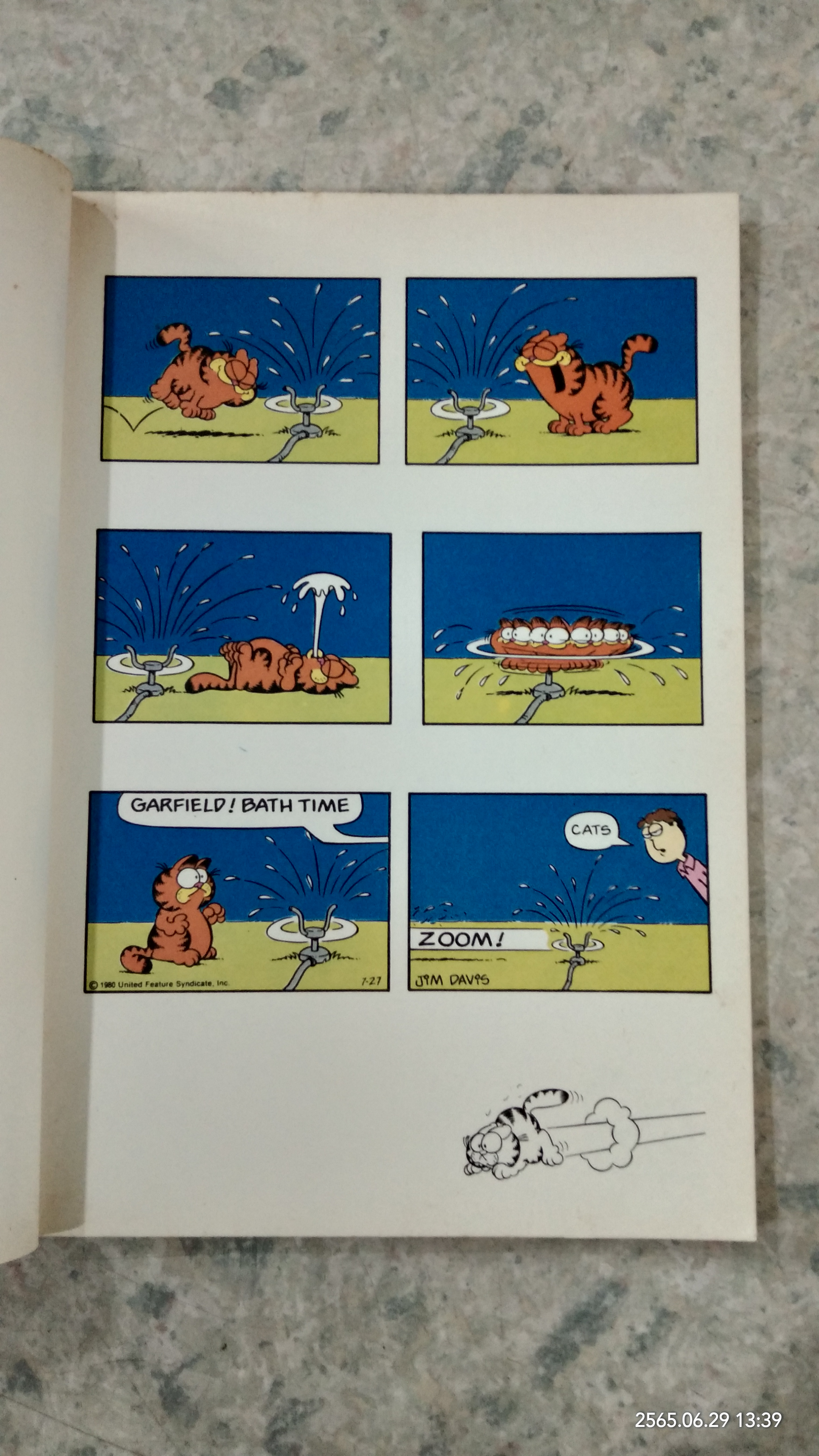 the Garfield Treasury / JiM DAViS