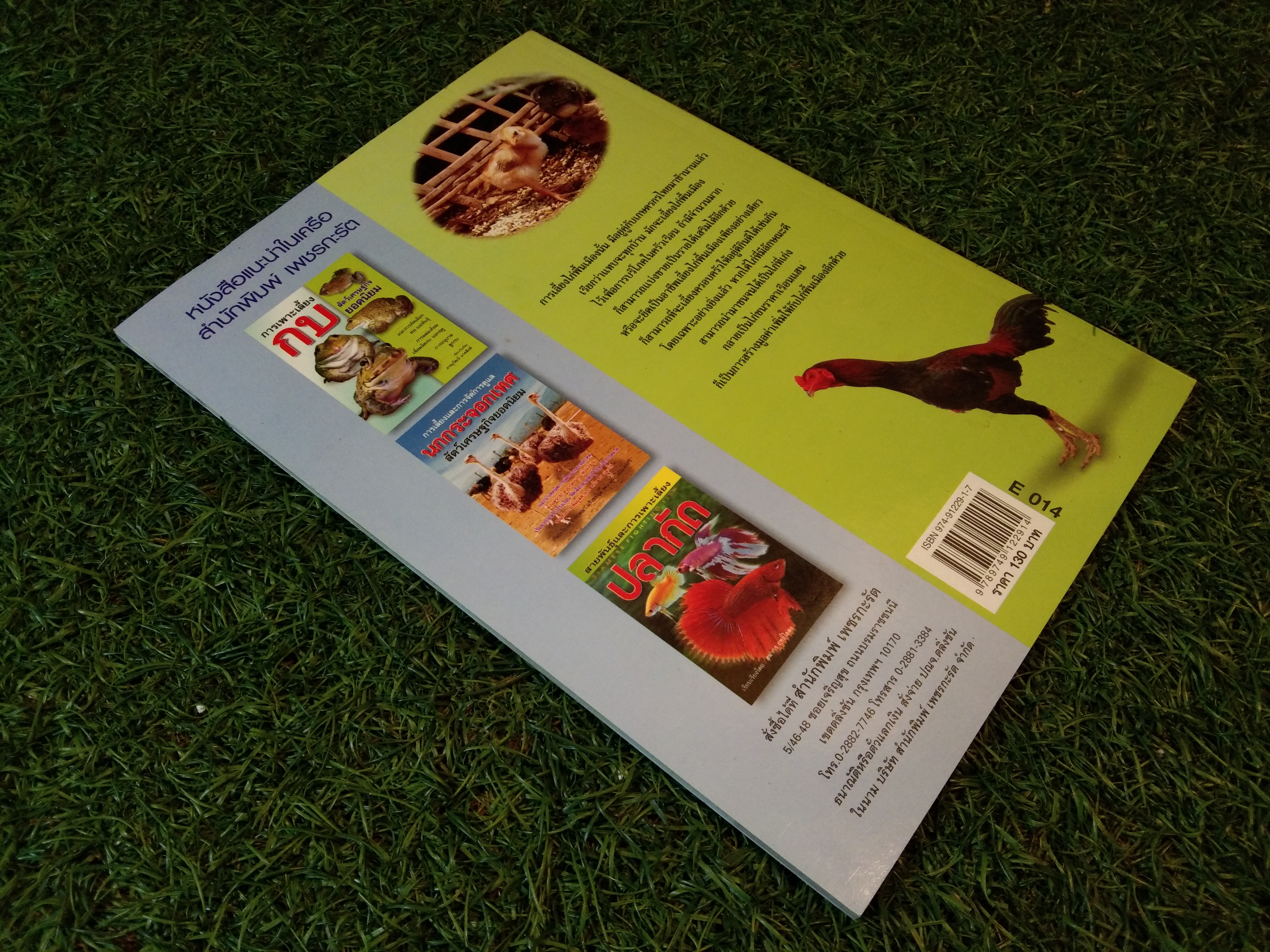 ไก่พื้นเมือง สัตว์เศรษฐกิจพื้นบ้านยอดนิยม / บวรศักดิ์ หัสดิน