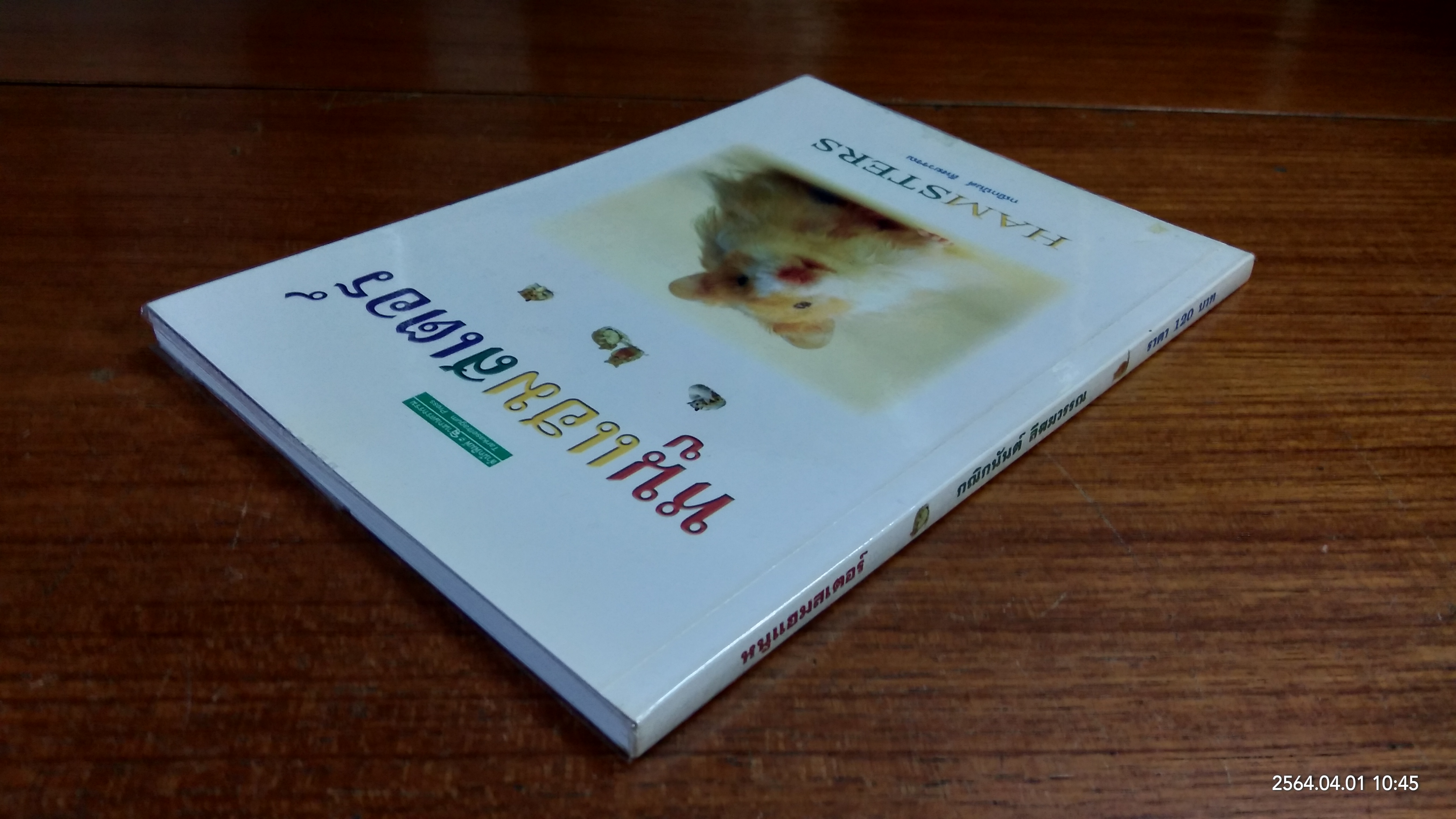 หนูแฮมสเตอร์ / กณิกนันต์ ลีฬฆวรรณ