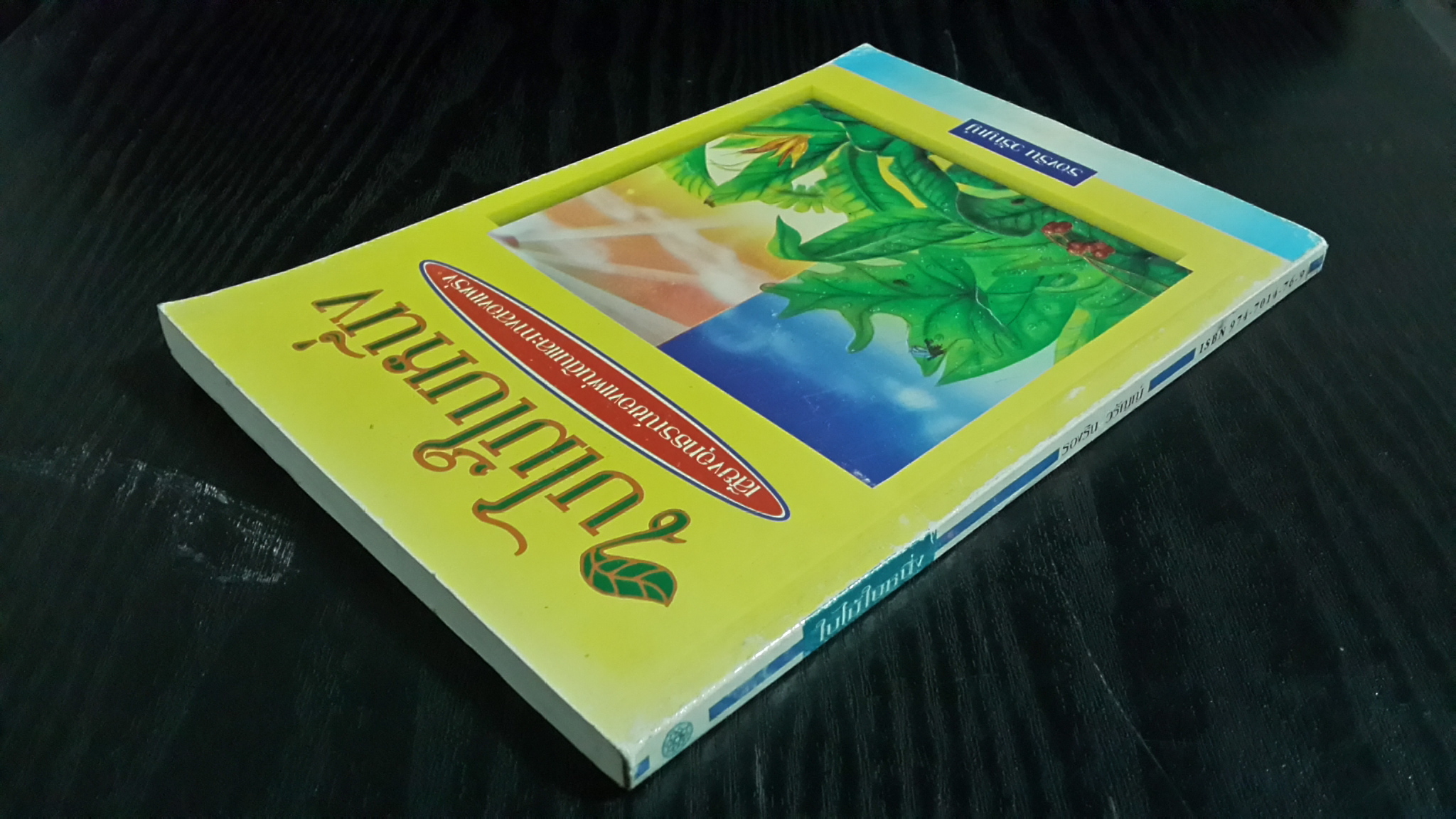 ใบไม้ใบหนึ่ง / รองริน วรัญญ์