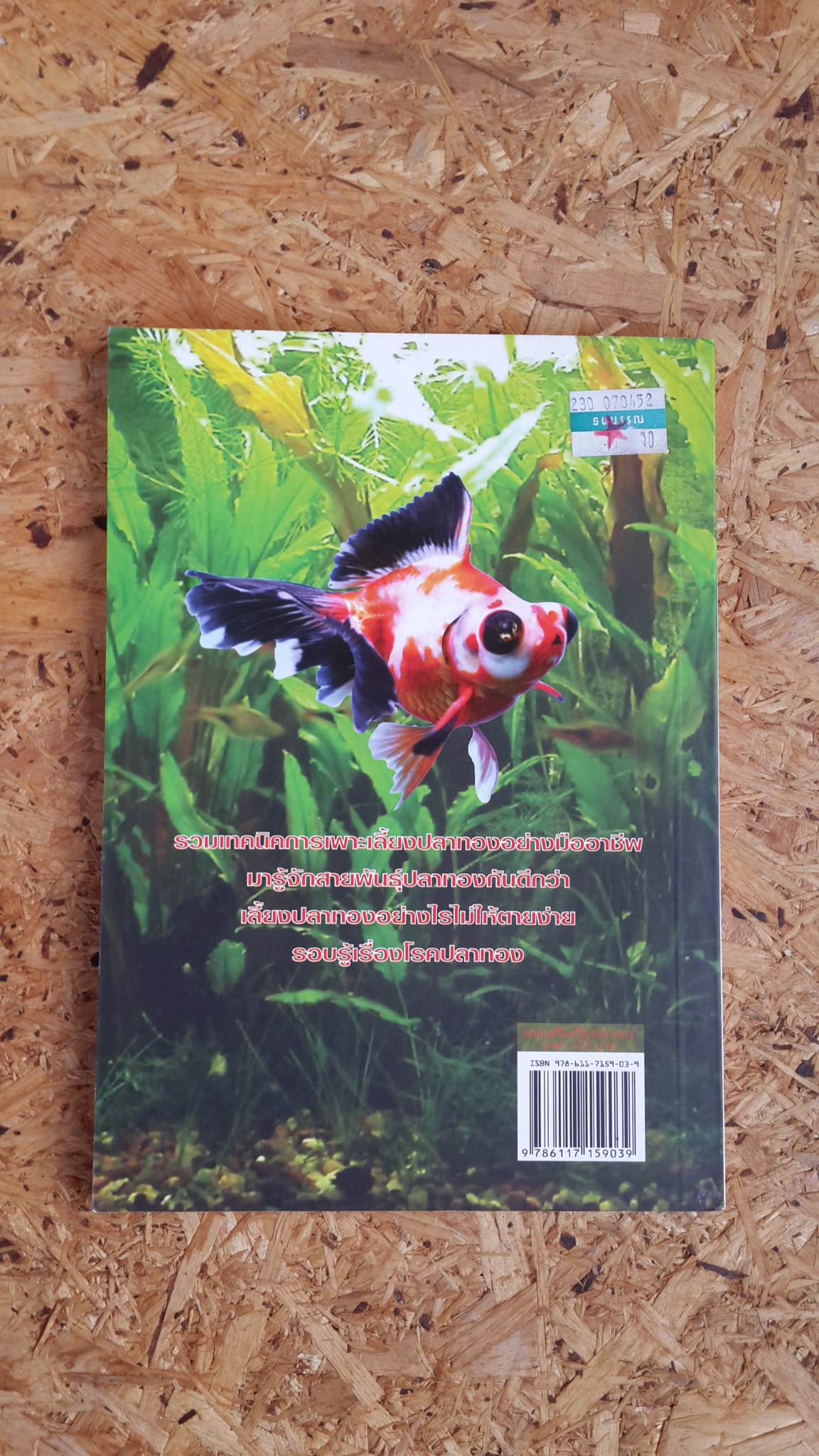 ครบเครื่องเรื่องปลาทอง