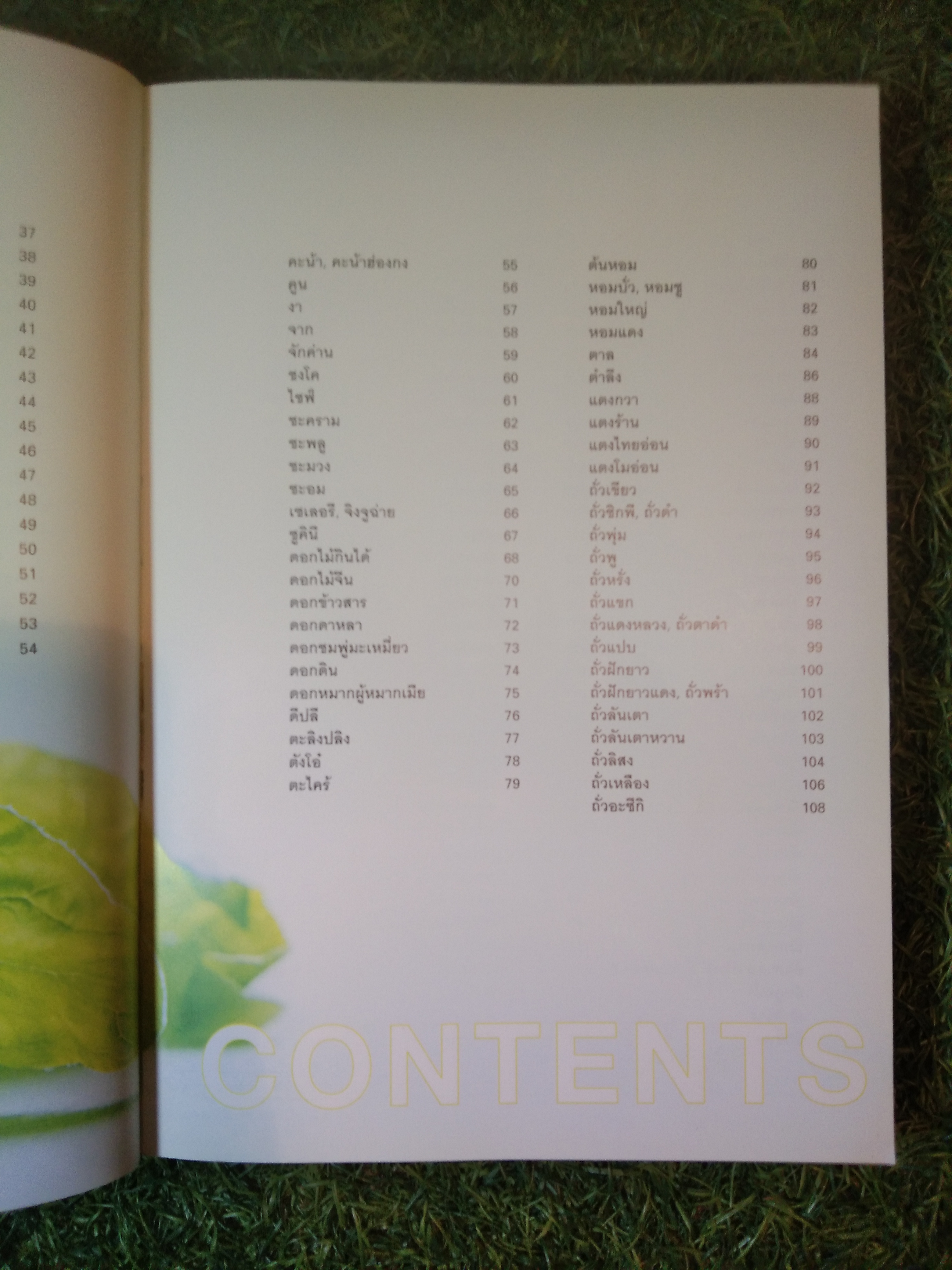 คุณค่าอาหารและการกิน ผัก๓๓๓ ชนิด / แสงแดด (สภาพไม่สมบูรณ์)