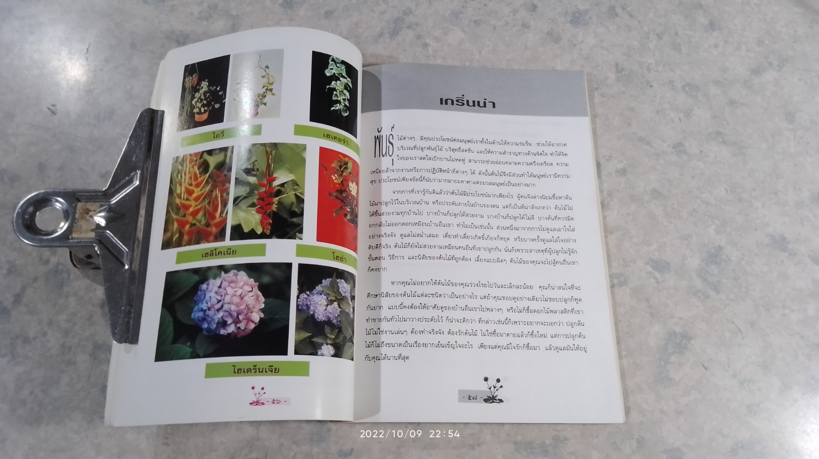 ฉันรักต้นไม้ ด้วยรักและหมั่นรดน้ำพรวนดิน (มีรอยโดนน้ำ)