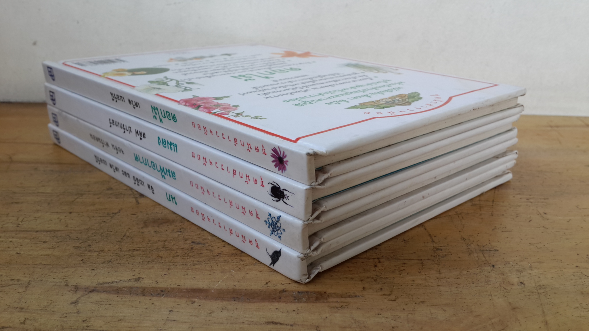 ชุดนักสำรวจน้อย : ลมฟ้าอากาศ นก ดอกไม้ แมลง (1ชุด4เล่ม-ปกแข็ง) / หนังสือเด็ก รักลูก