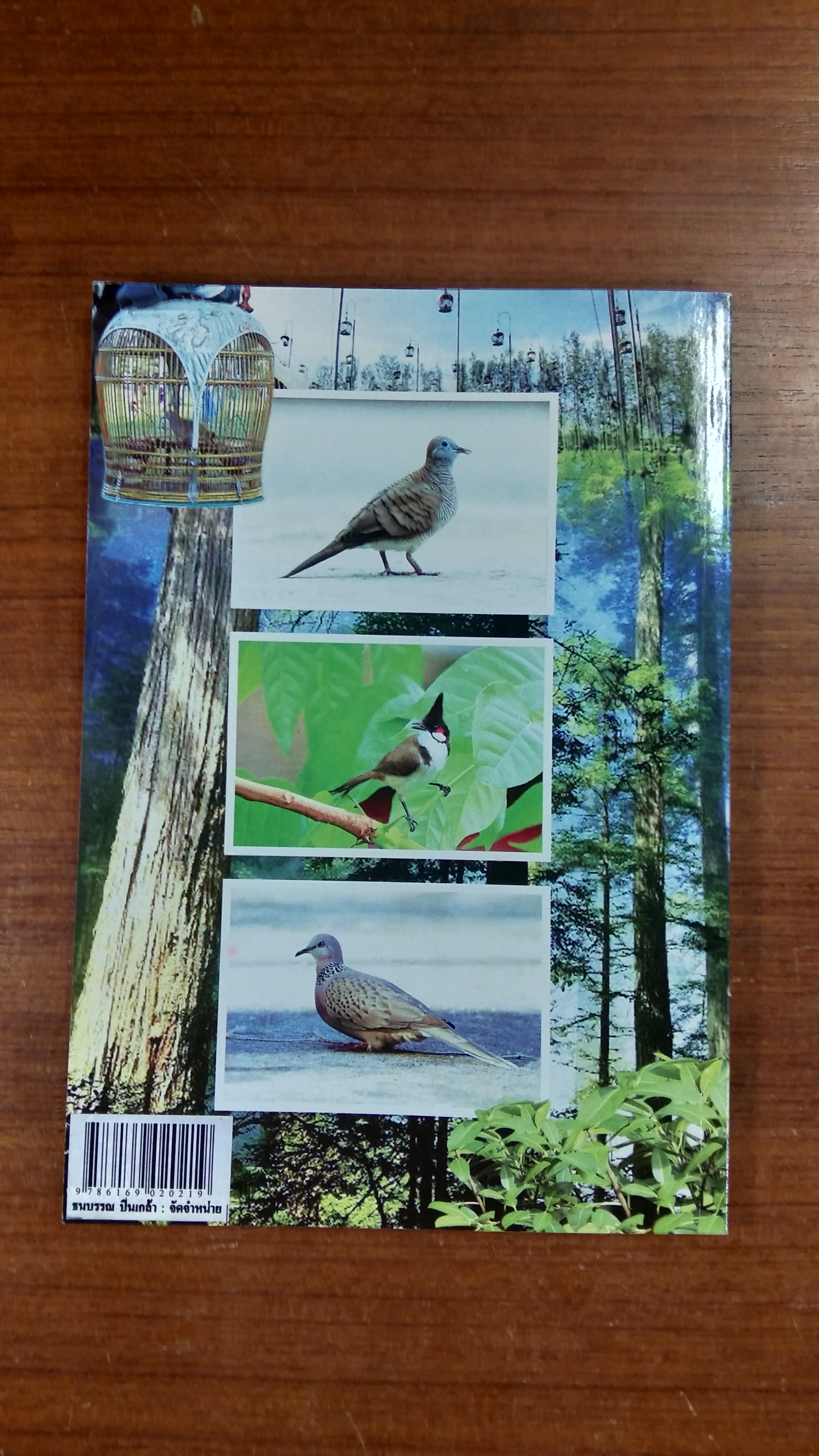 คู่มือฝึก - ต่อ นกกรงหัวจุก นกเขาชวา นานาชนิด