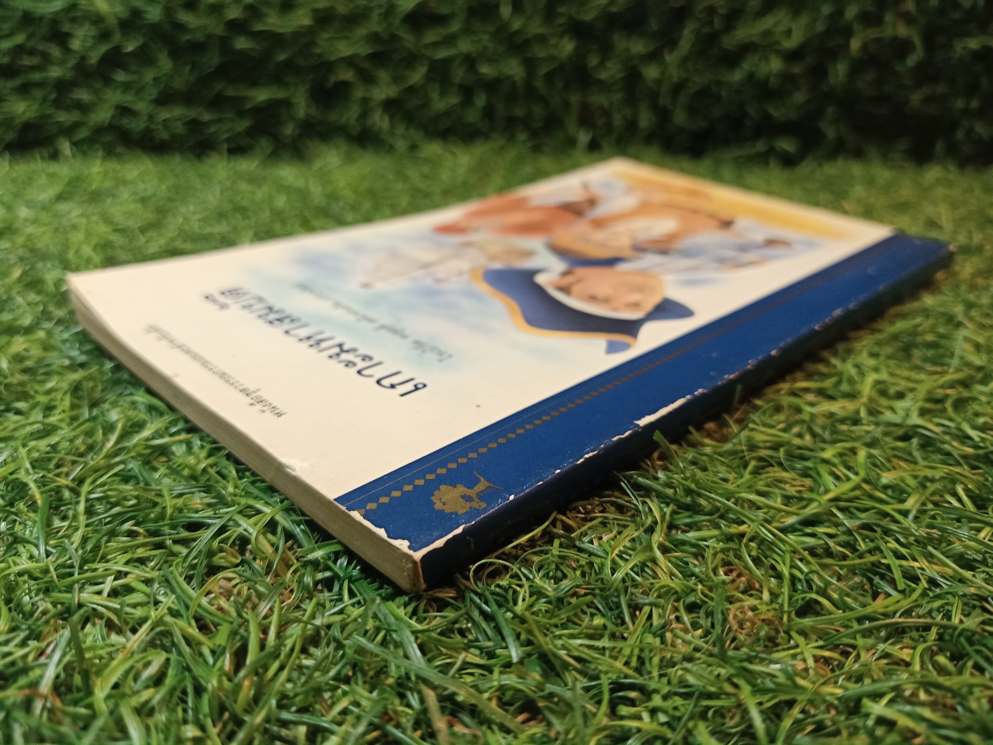 เกาะมหาสมบัติ / โรเบิร์ต หลุยส์ สตีเฟนสัน