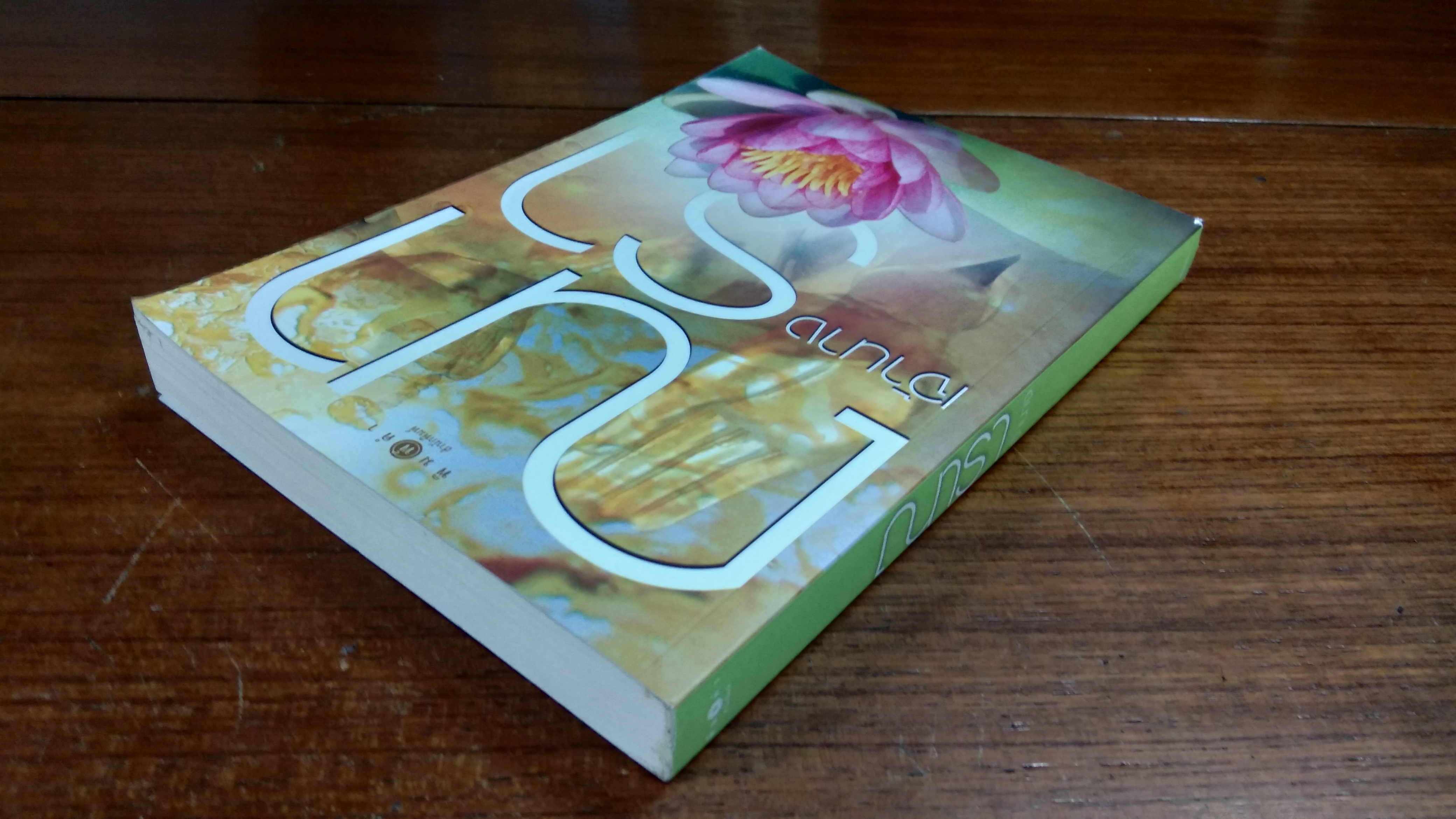 เจ้านาง / ณารา