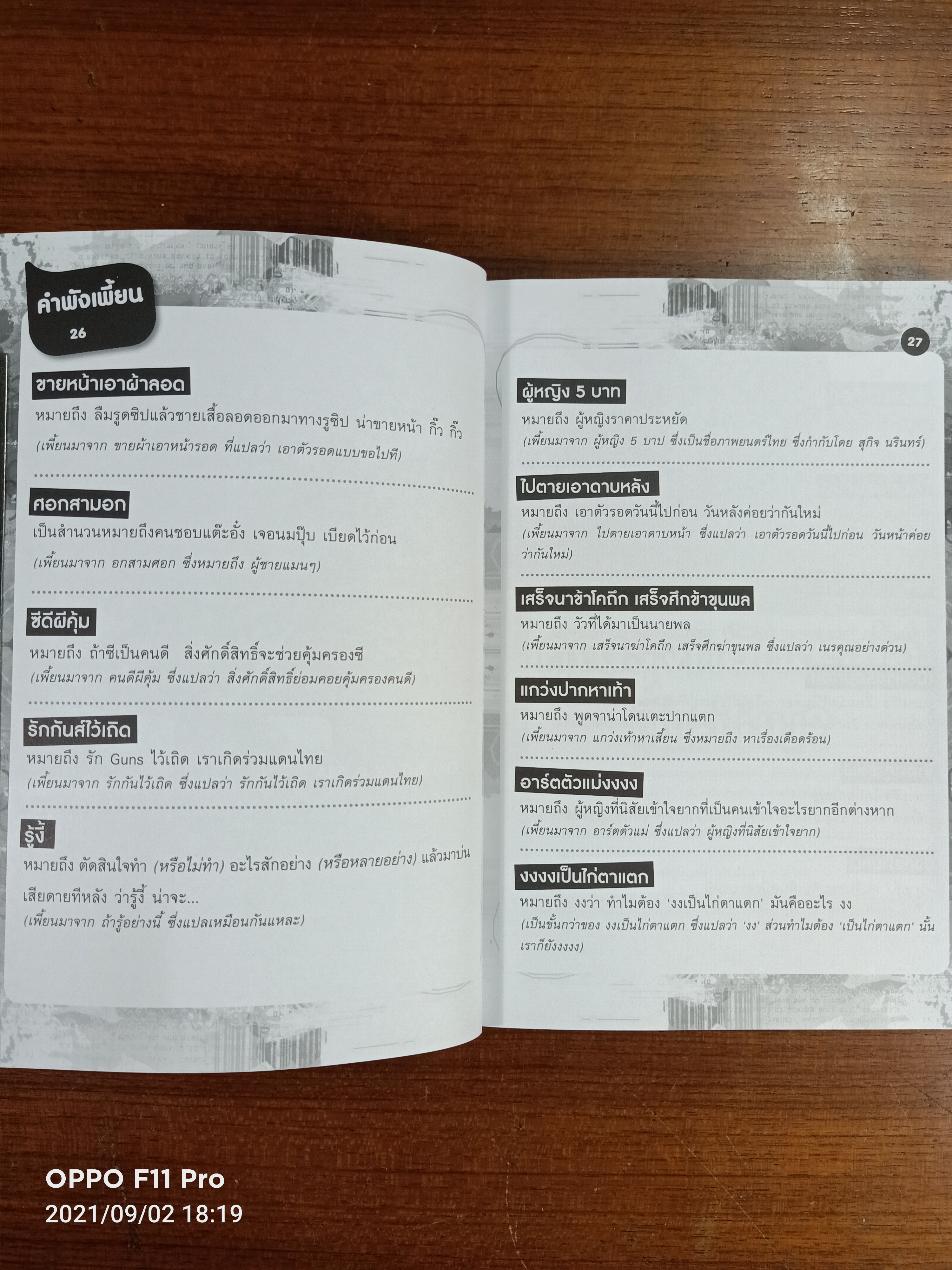 ฮิกาซีน iPad stuPad / มังกรกินหมู