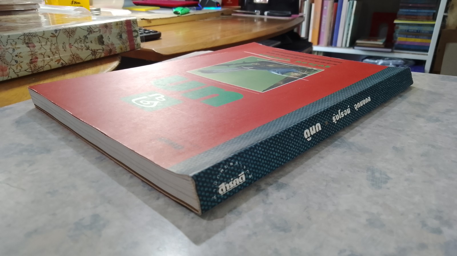 ดูนก / รุ่งโรจน์ จุกมงคล