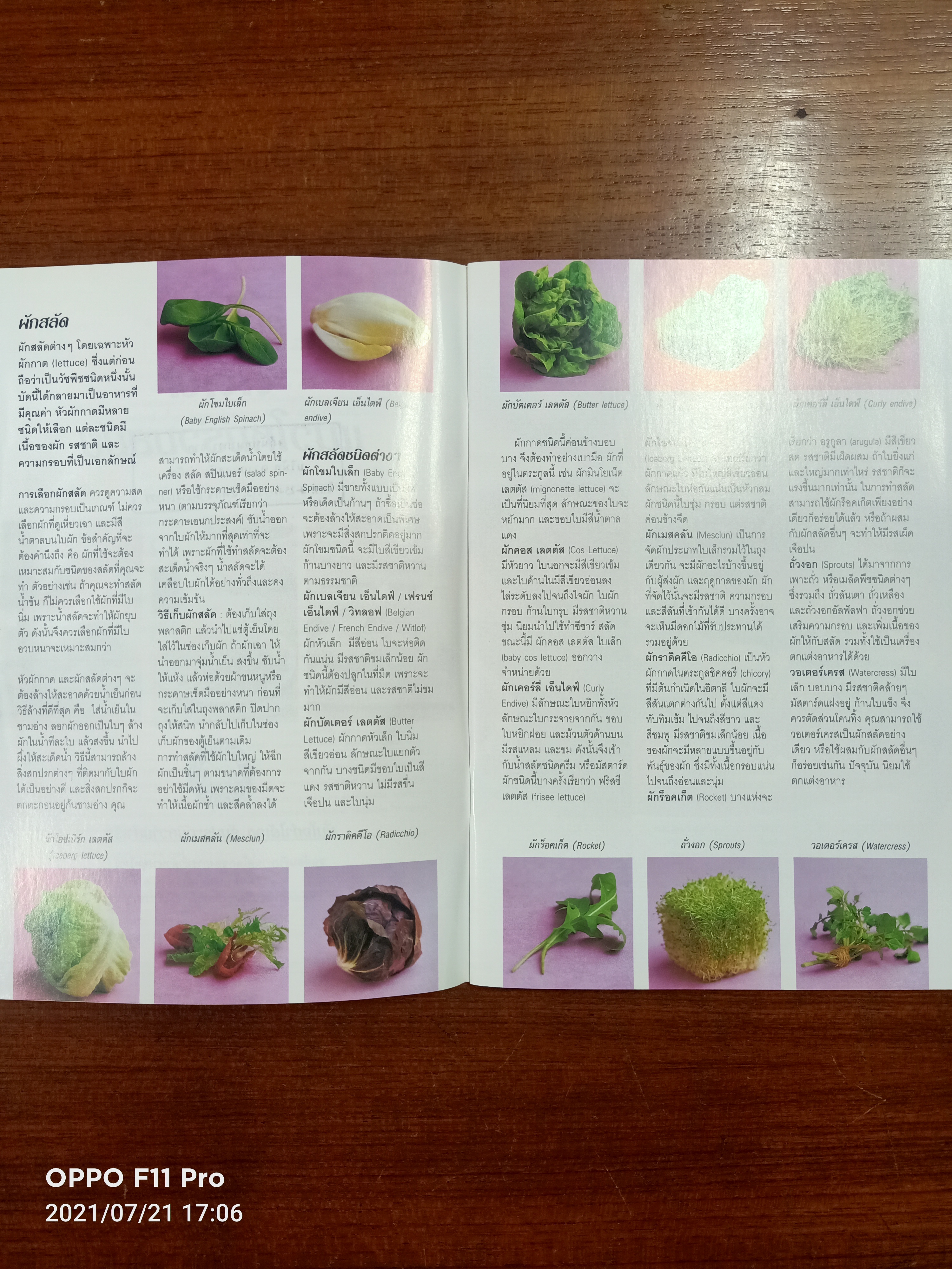 สลัดแนวใหม่ร่วมสมัย / หน้าต่างสู่รสชาติ