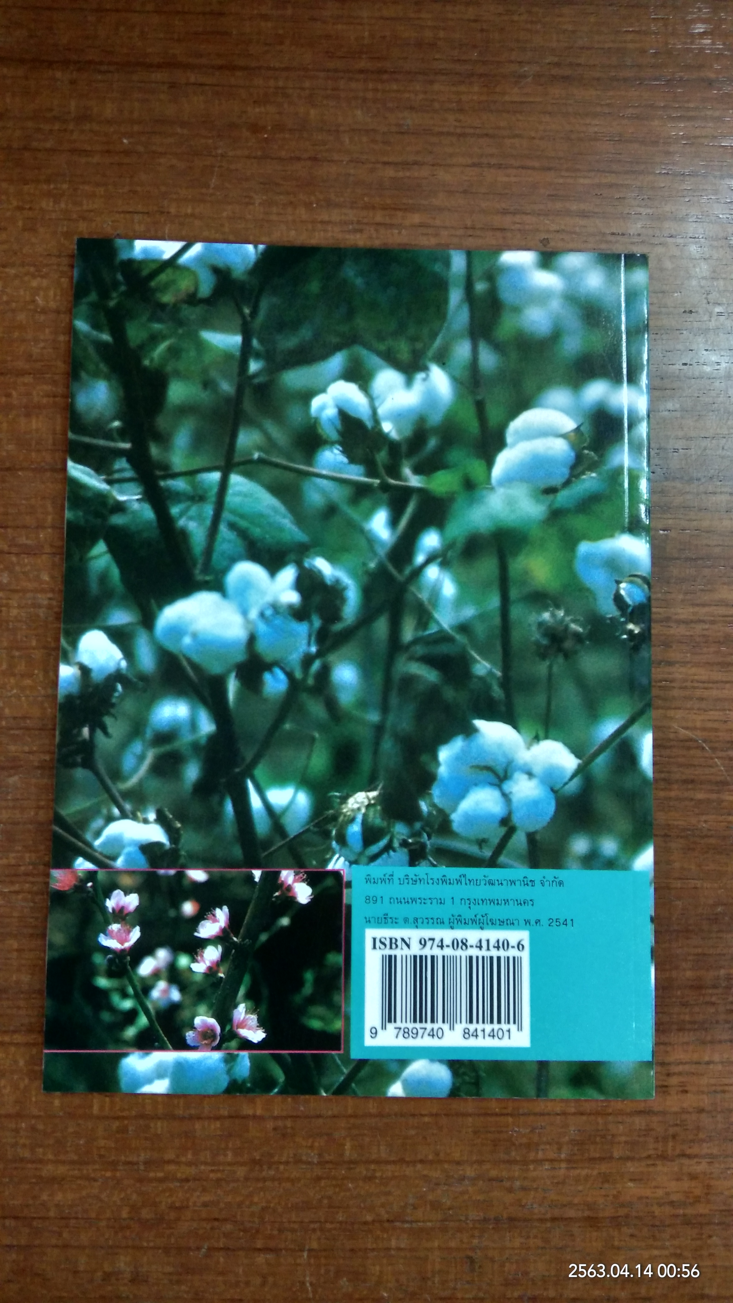 โลกของพืช / สโรชา จิรชวนันท์