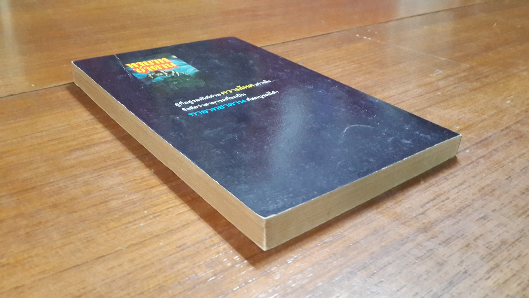 ทายาทซาตาน / จอห์น ไควน์