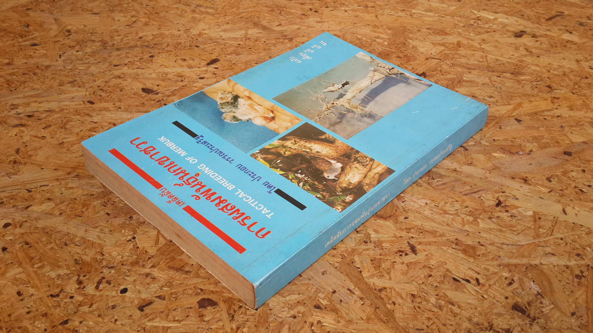 เคล็ดลับการผสมพันธุ์นกเขาชวา / ประกอบ วรรณประเสริฐ