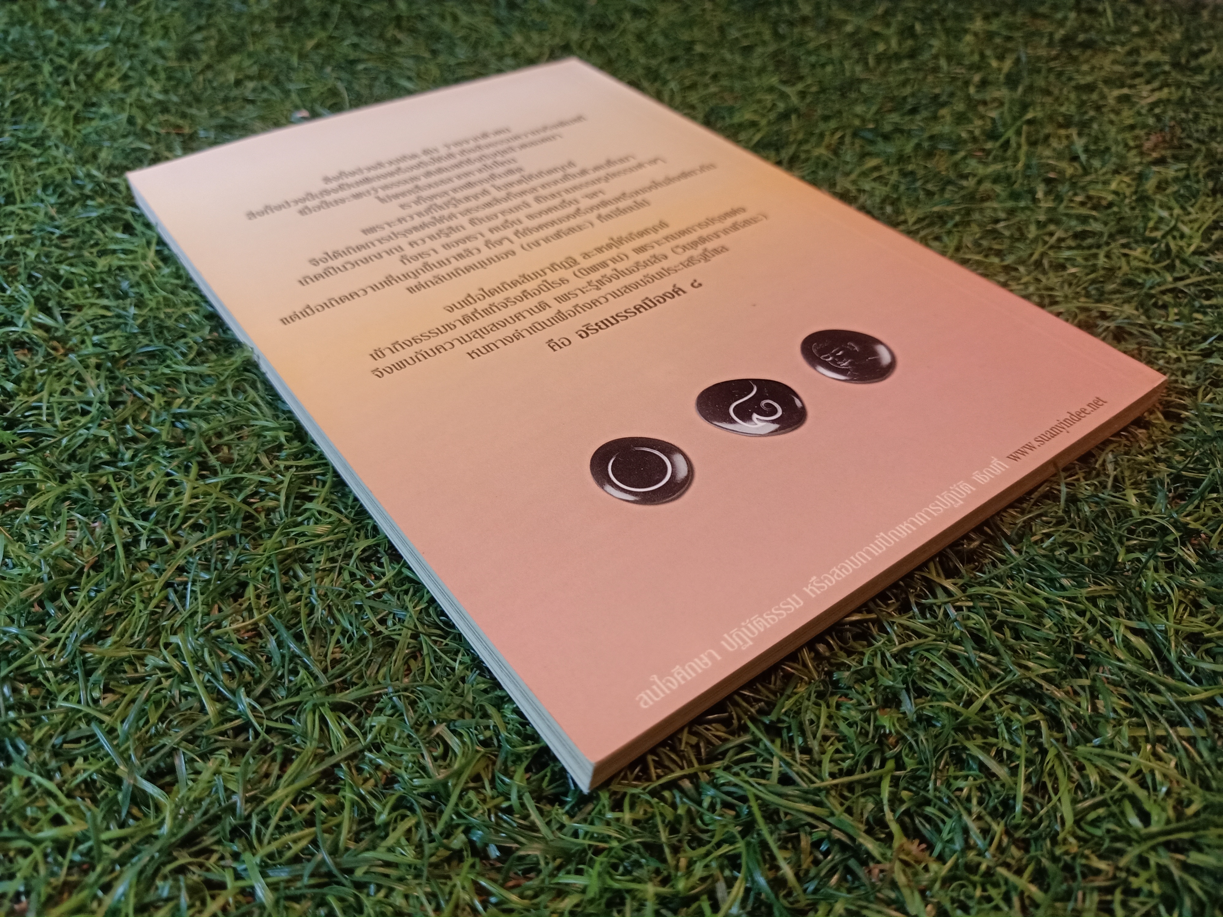 กลัวเกิด ไม่กลัวตาย / ประเสริฐ อุทัยเฉลิม