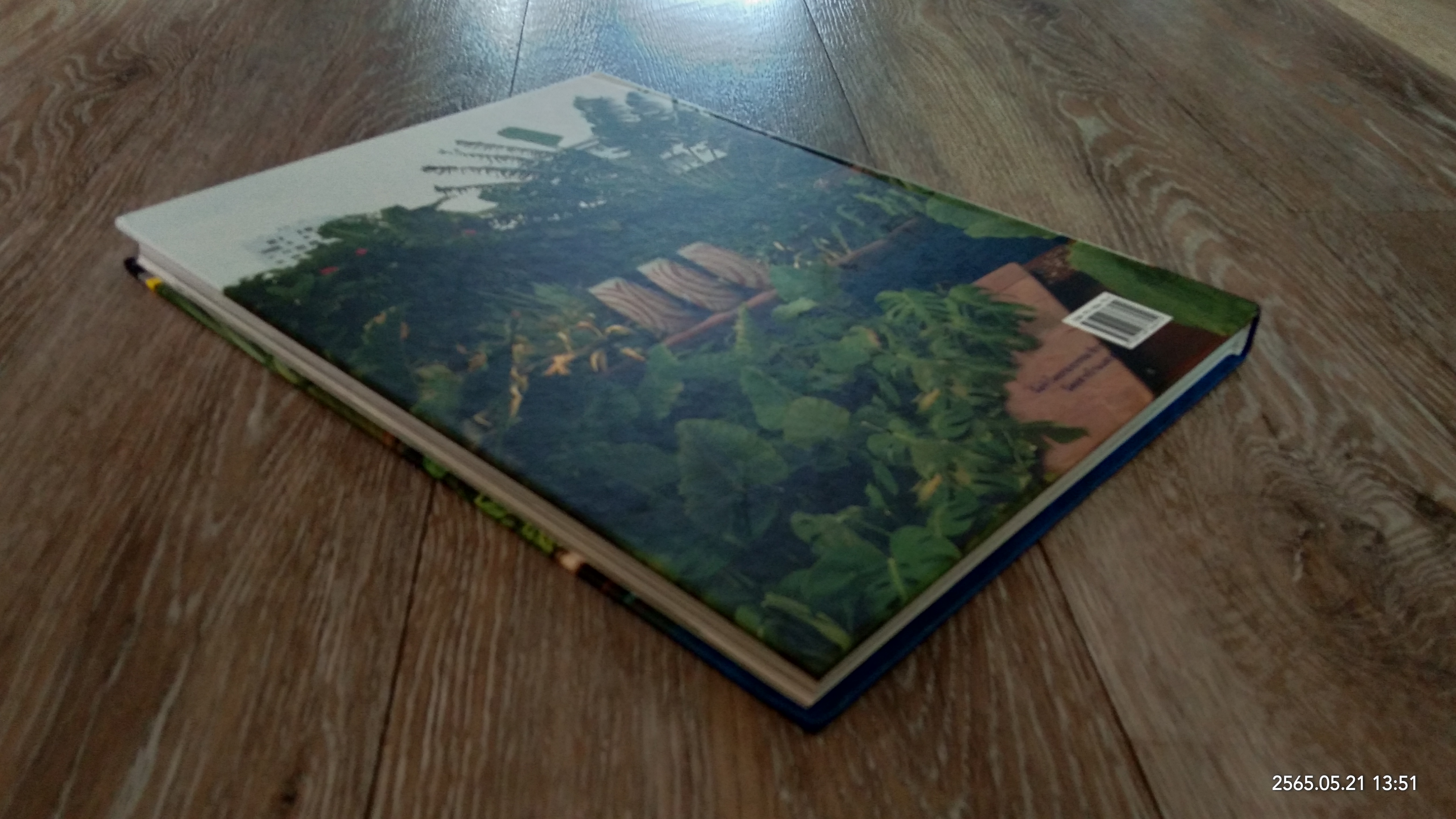 สวนในบ้าน เล่ม 5 : สวนน้ำ 2