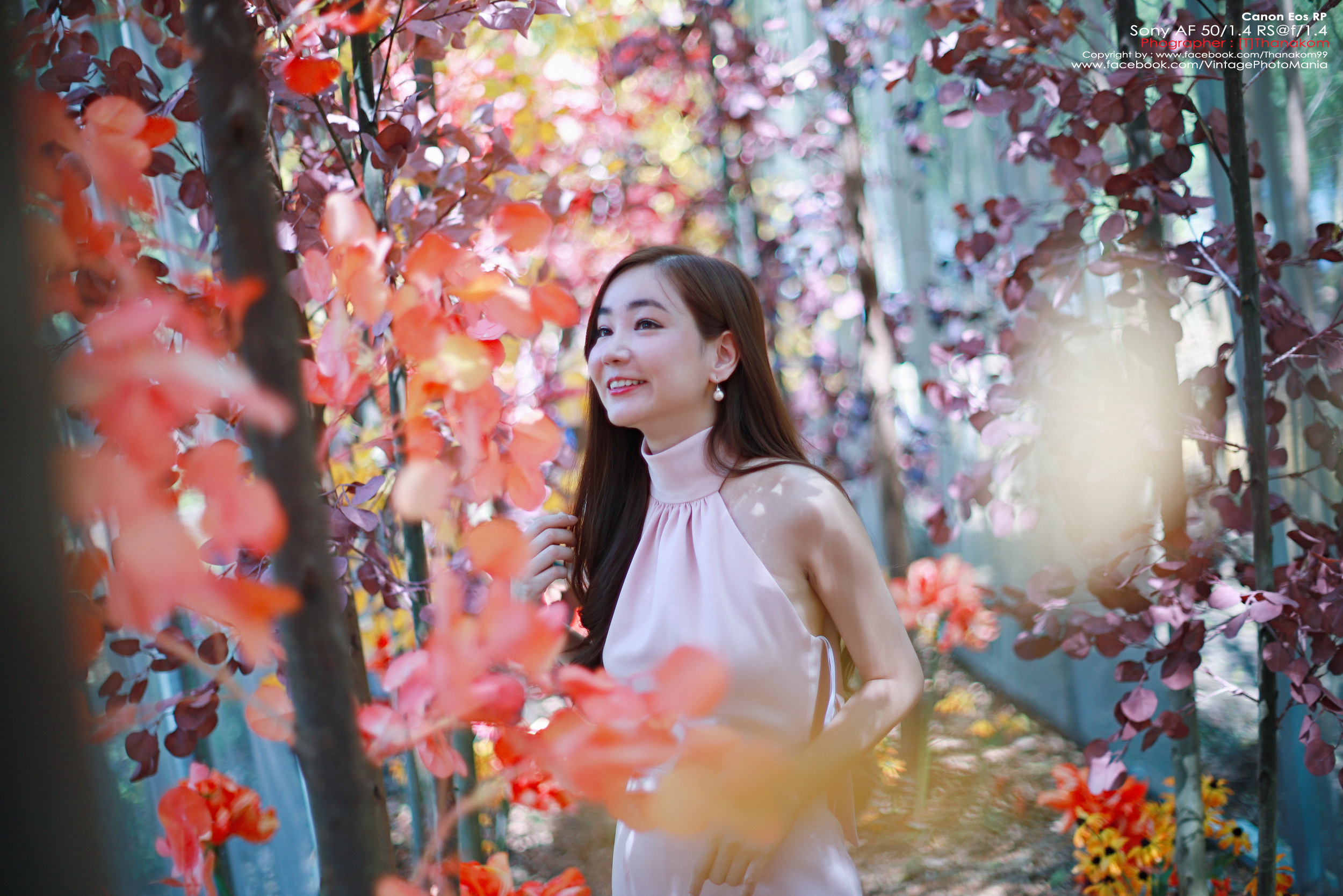 Minolta AF 50/1.4 *Sony A Mount เลนส์ไวแสงละลายฉากหลังสวยสำหรับกล้อง Sony DSLR