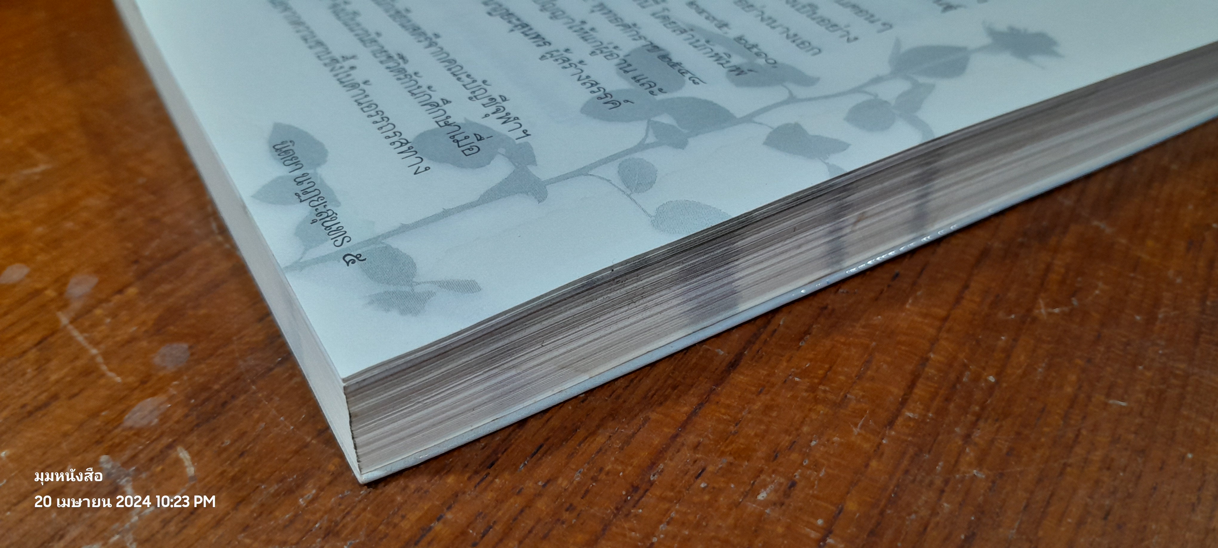 ชีวิตมิใช่ดอกกุหลาบ (มีรอยโดนน้ำ) / นิตยา นาฏยะสุนทร