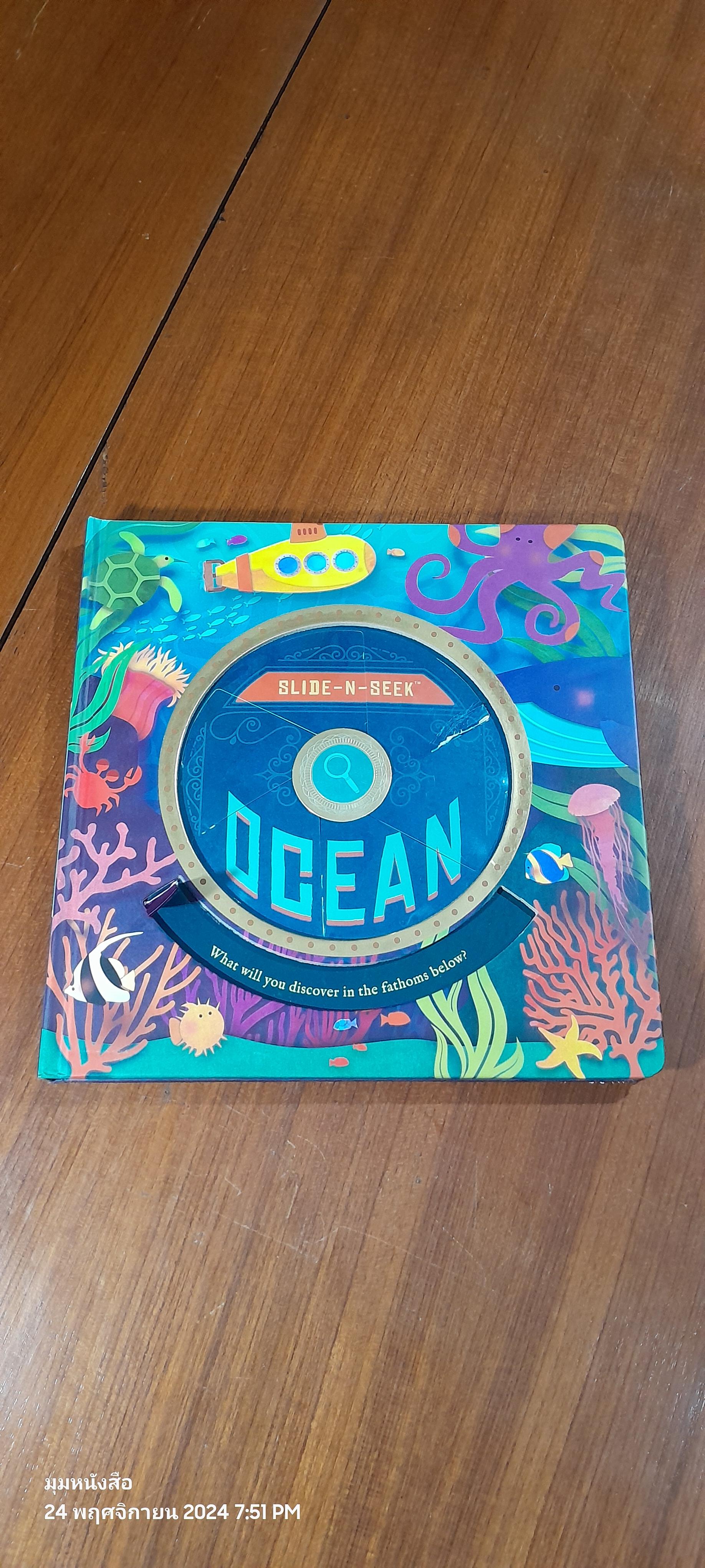 SLIDE-N-SEEK : OCEAN / DAVID MILES