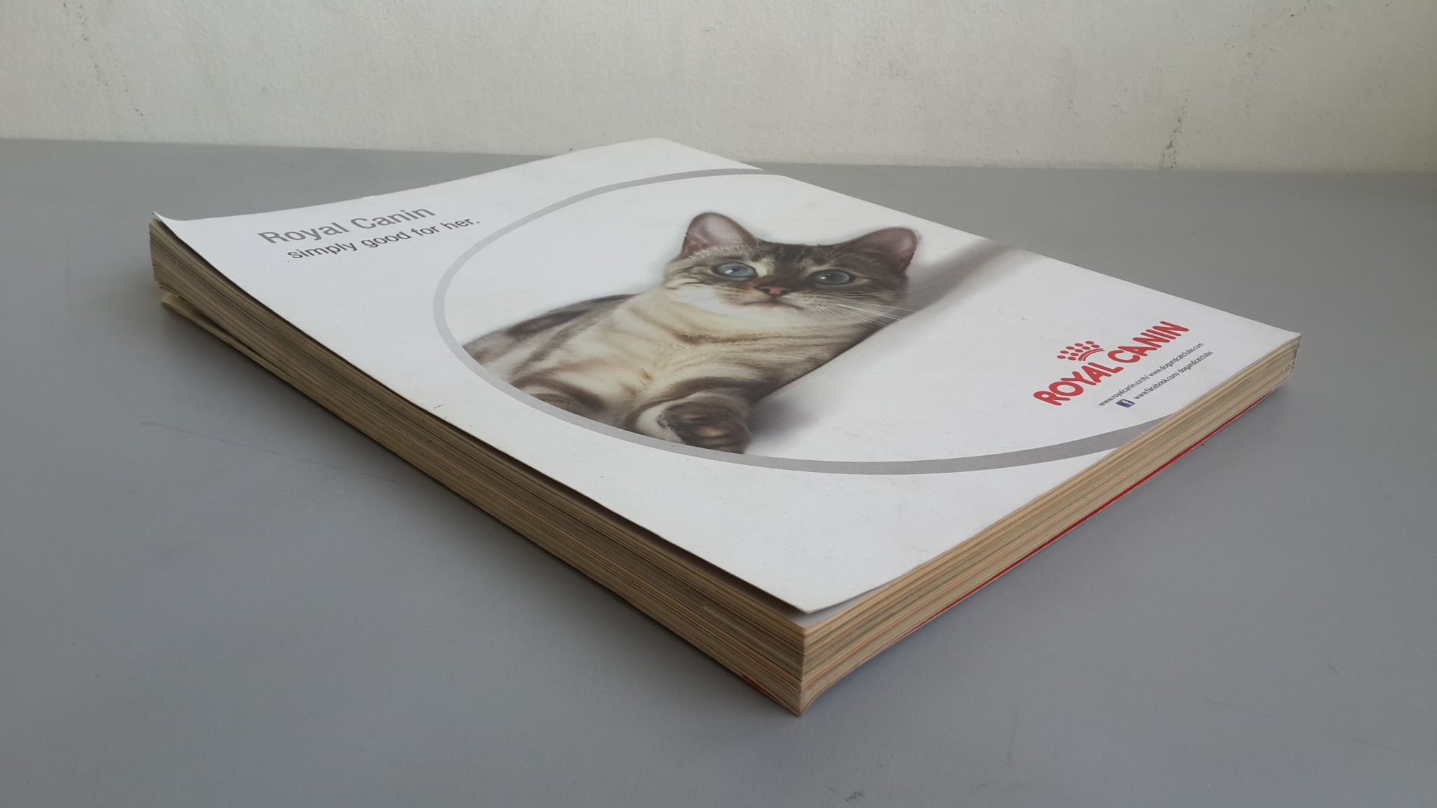 a day ฉบับที่ 152