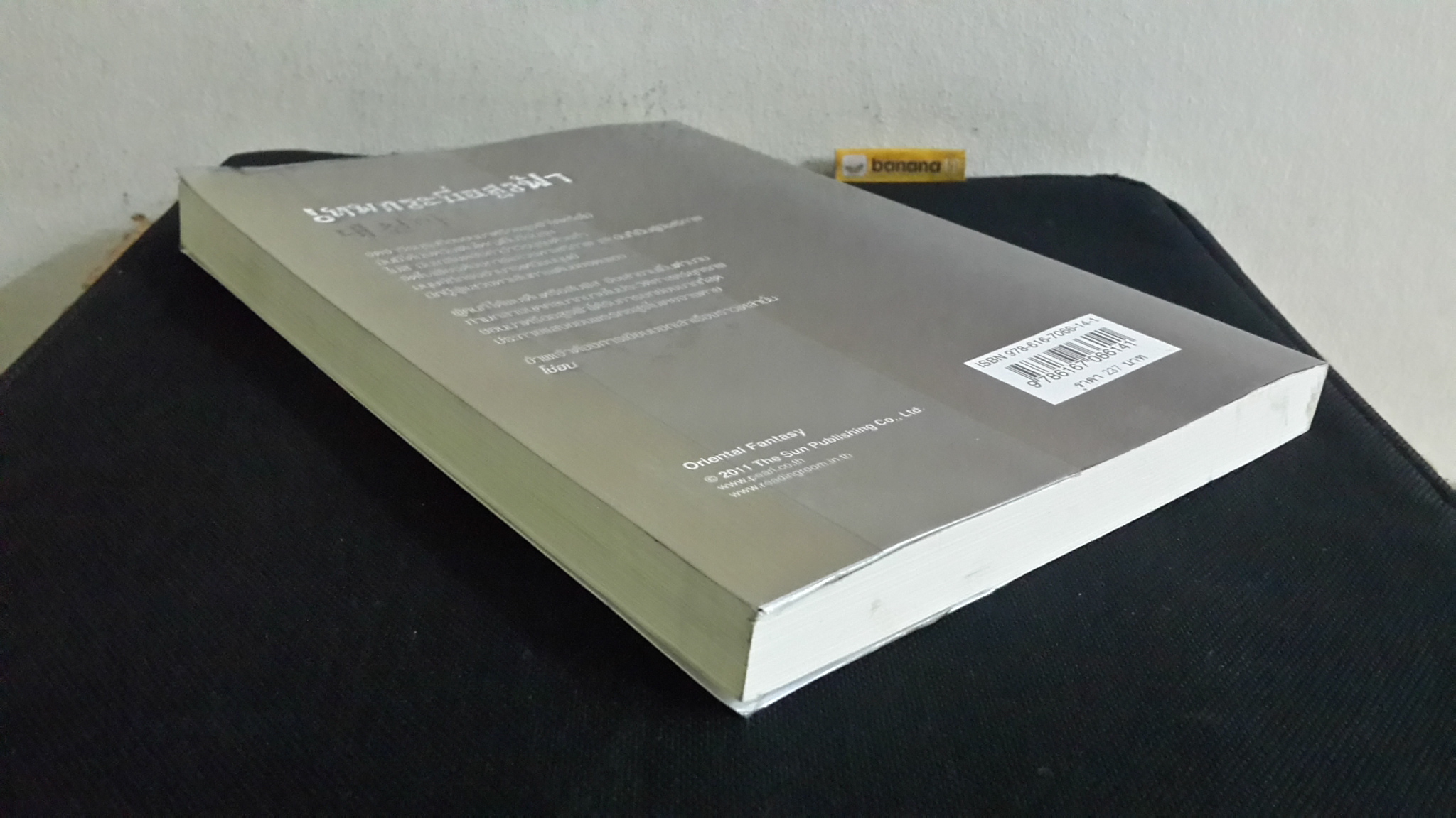 เทพกระบี่อสูรฟ้า เล่ม 4 / โช่ฮน