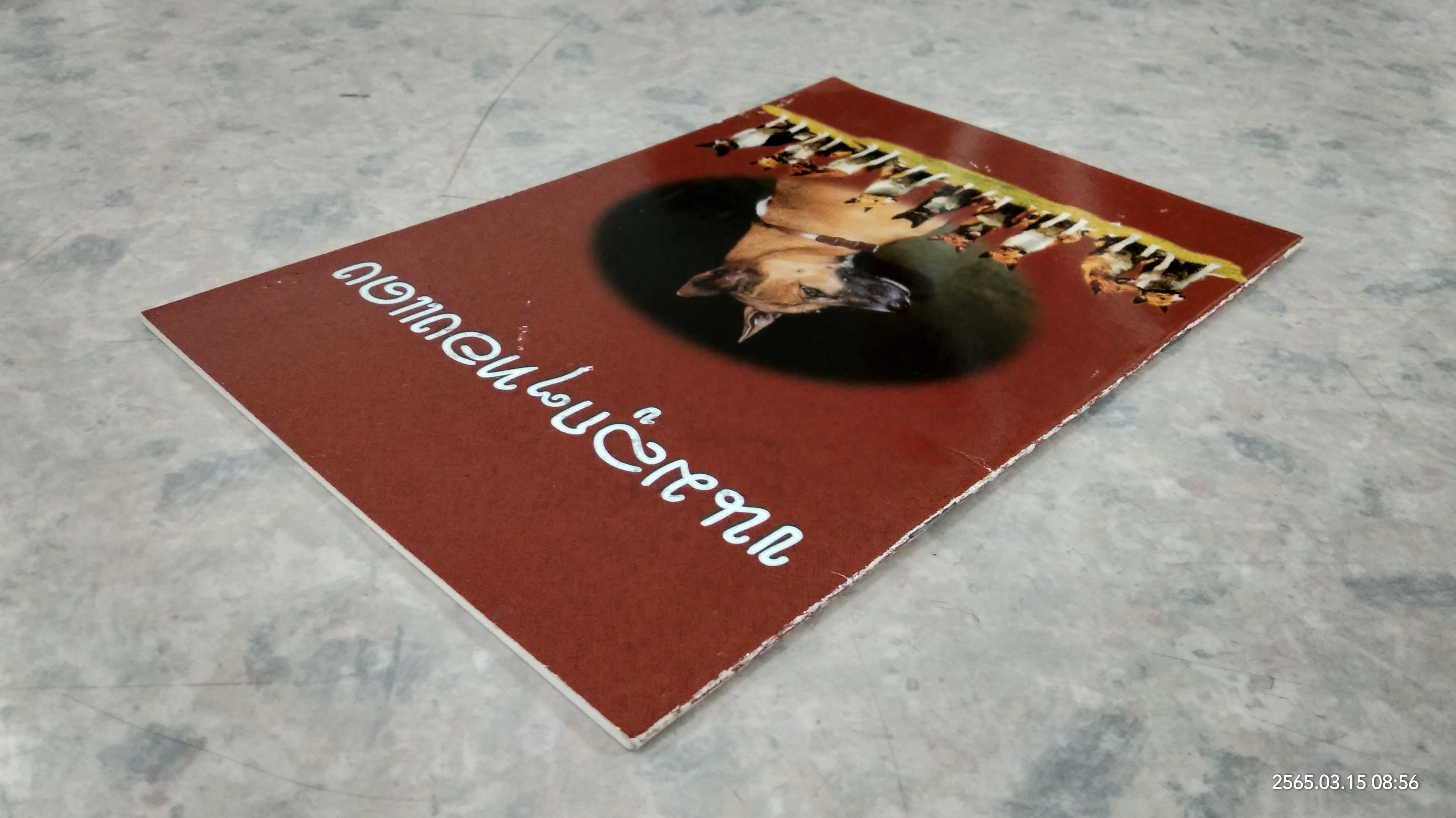 ขนมลูกๆทองแดง