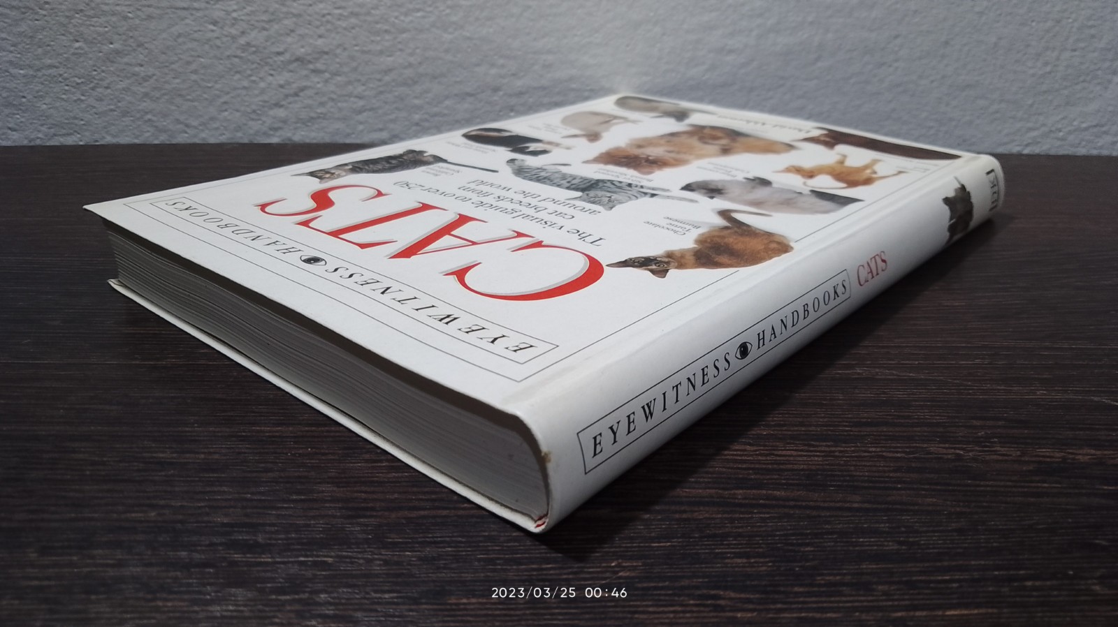 CATS / David Alderton