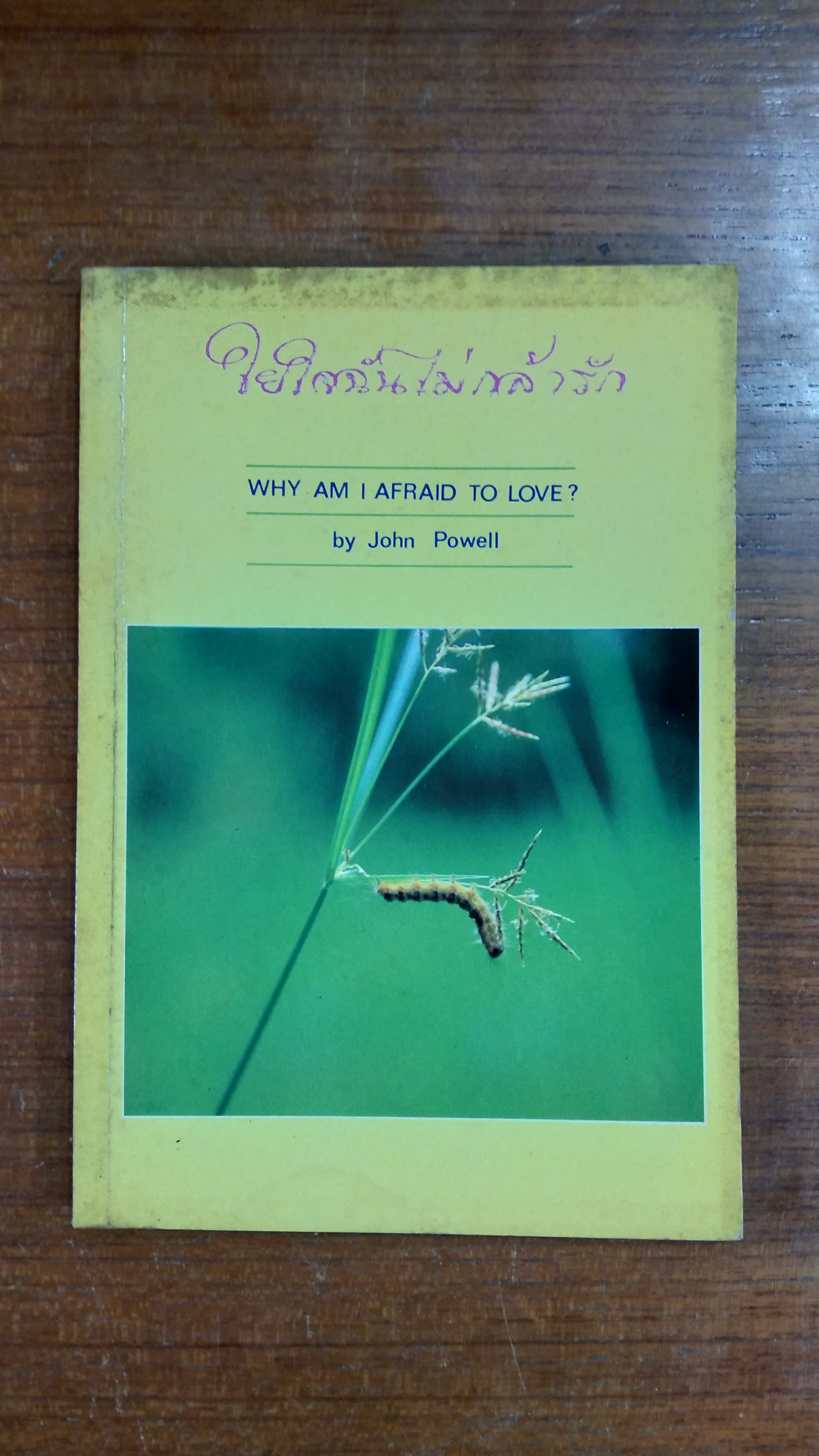 ใยใจฉันไม่กล้ารัก / John Powell