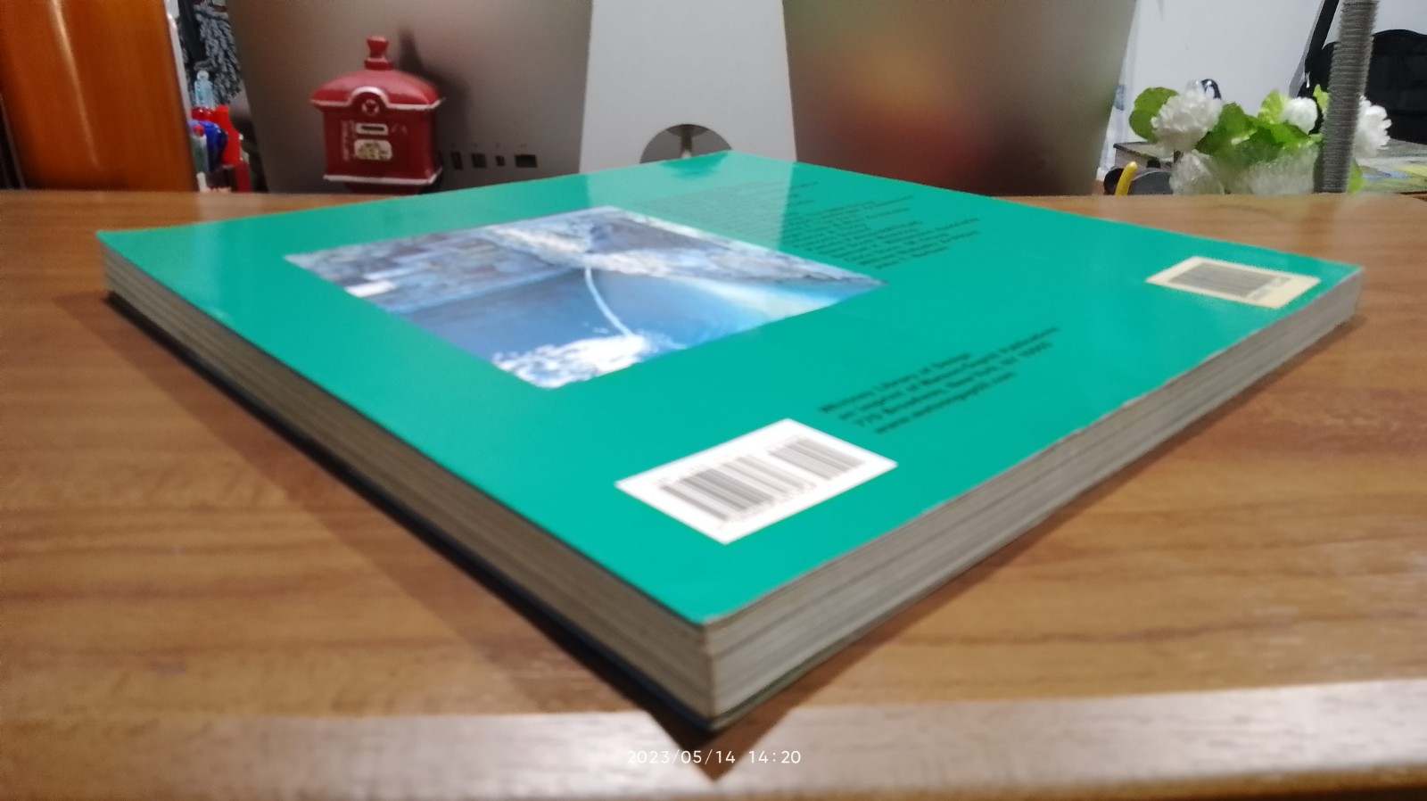 THE NEW AMERICAN SWIMMING POOL