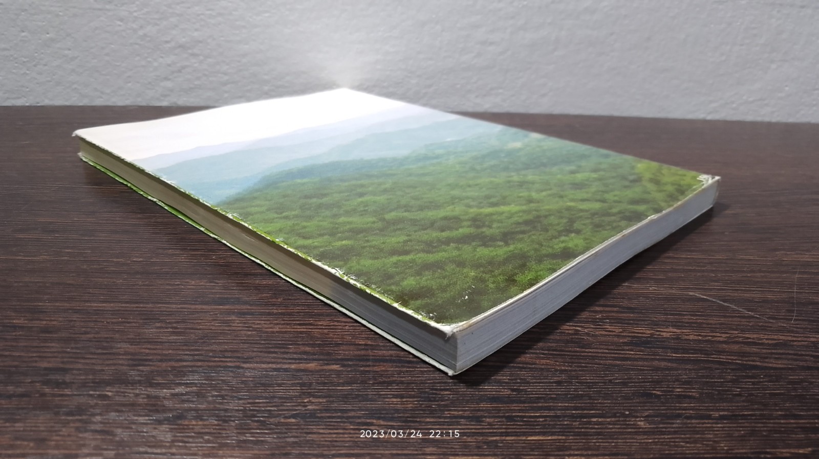 เรื่องเล่าจากภูเขา / ลีซะ ชูชื่นจิตสกุล