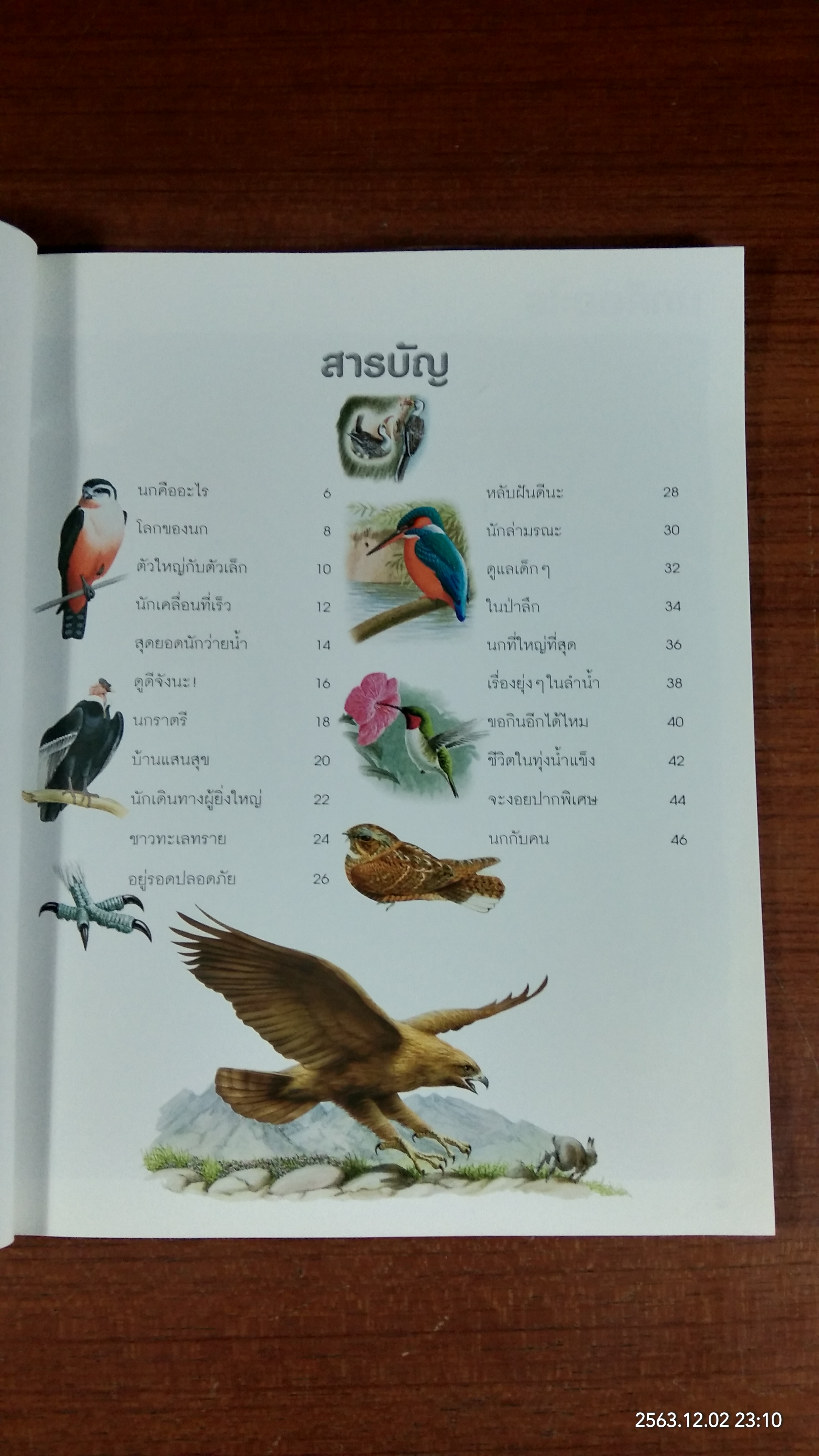 100 เรื่องน่ารู้เกี่ยวกับ นก