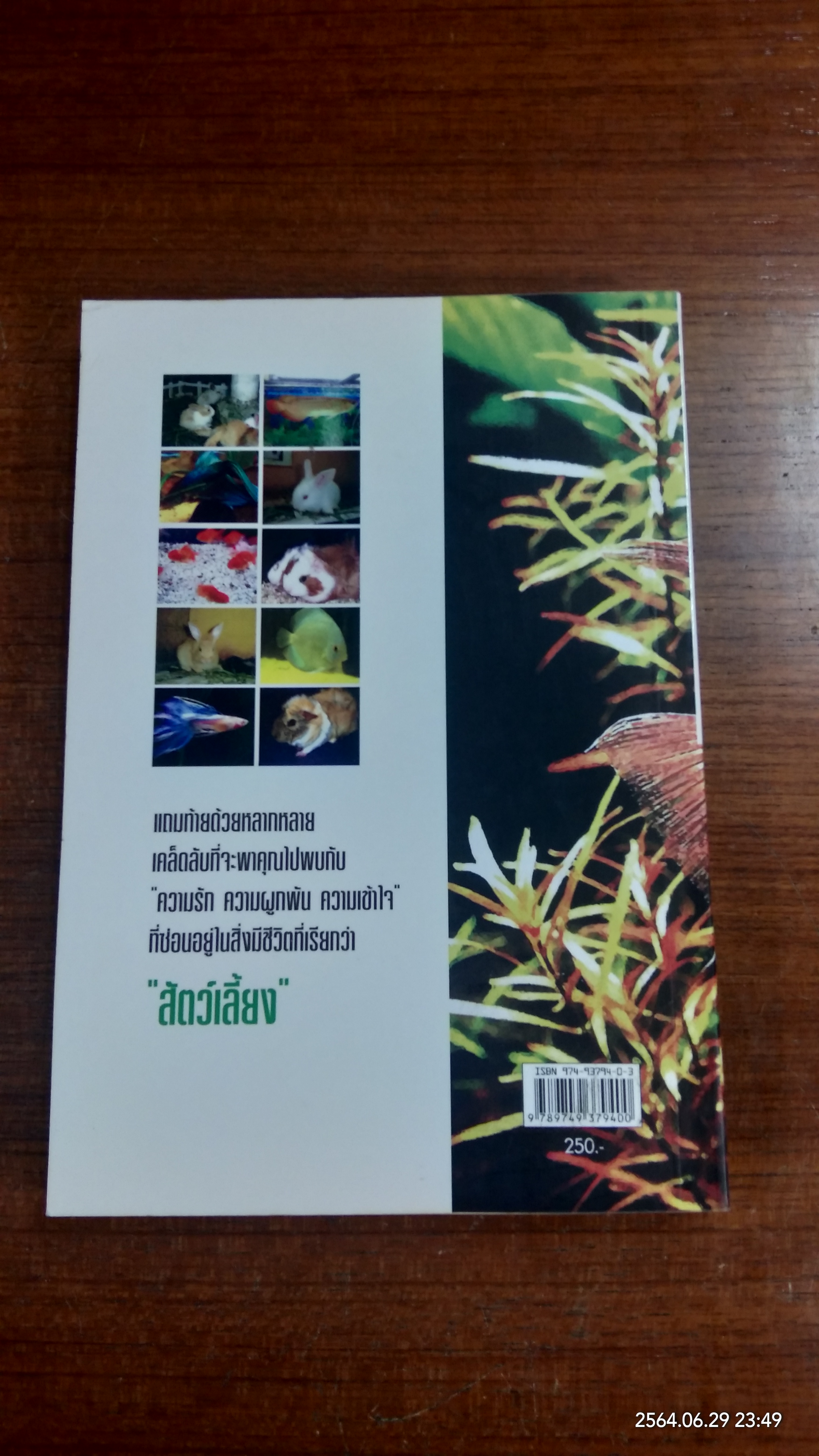 คู่มือแนะนำสัตว์เลี้ยง / มายา