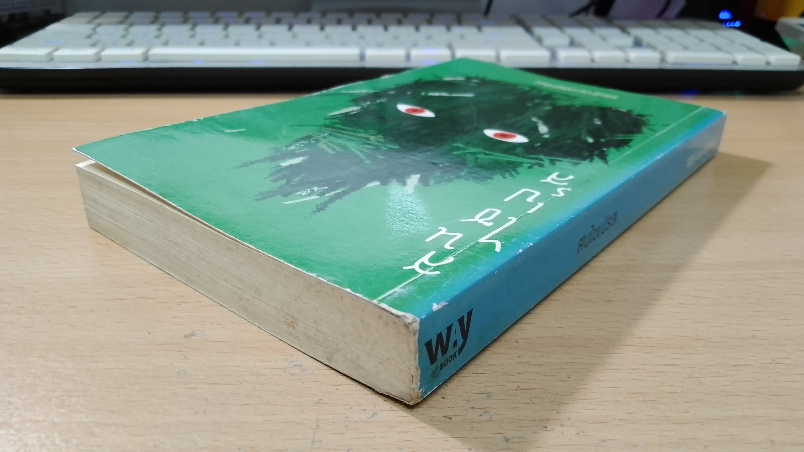 สนไซเปรส / จิรัฏฐ์ ประเสริฐทรัพย์