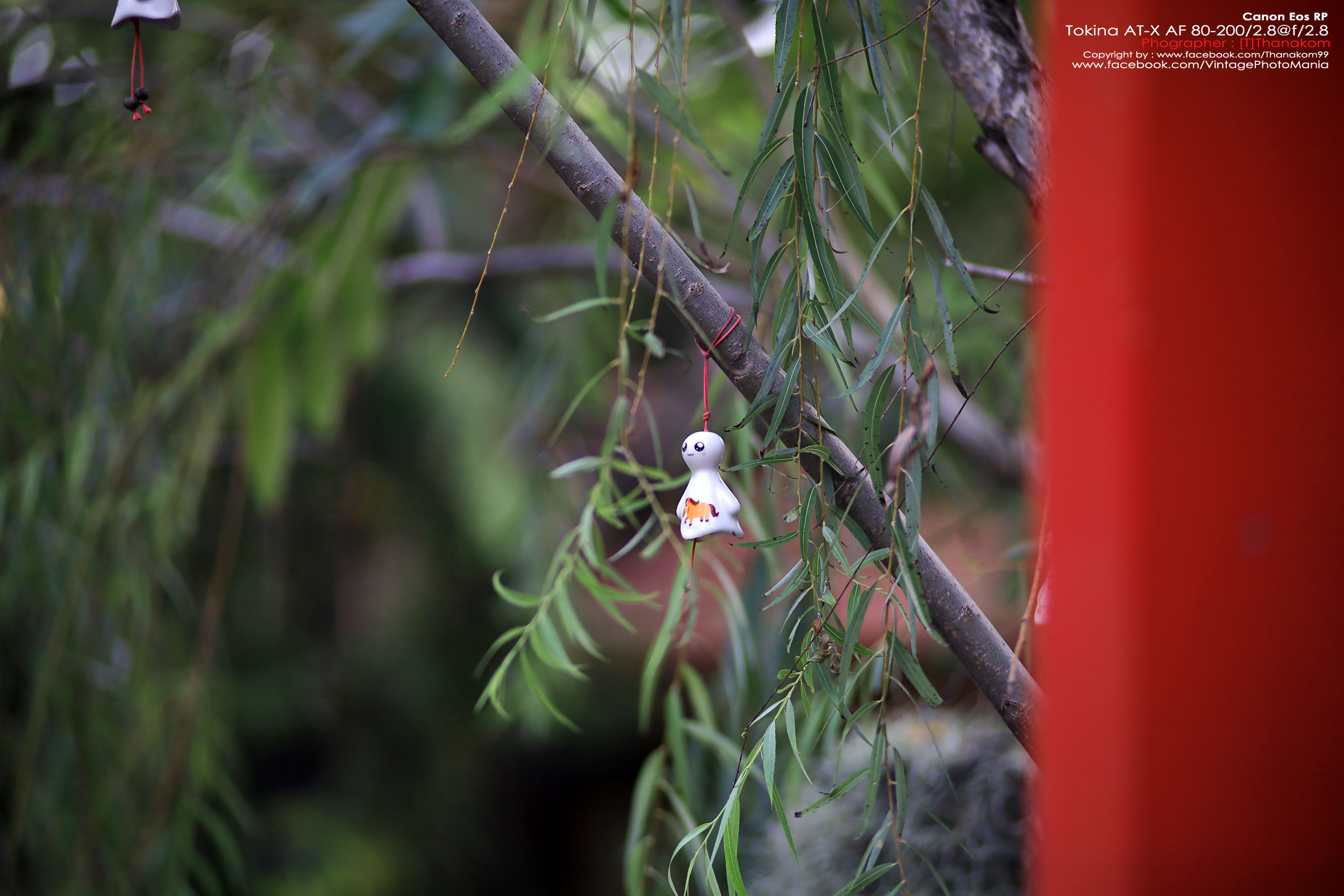 Tokina AT-X SD AF 80-200/2.8 *Nikon AF-D Mount เลนส์ซูมระดับโปรเอฟกว้างละลายหลังสวย