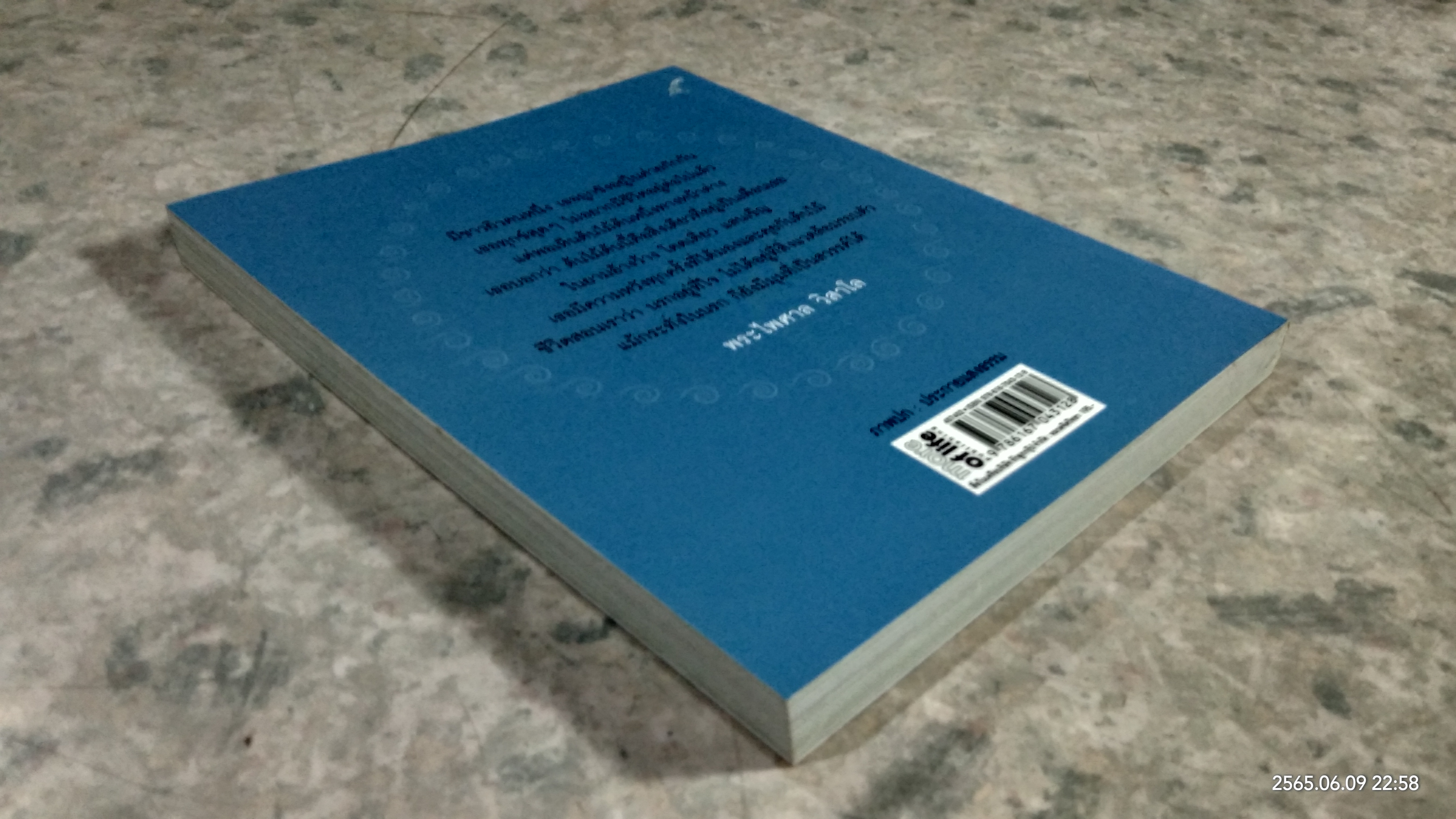 อยู่อย่างเหนือทุกข์ / พระไพศาล วิสาโล