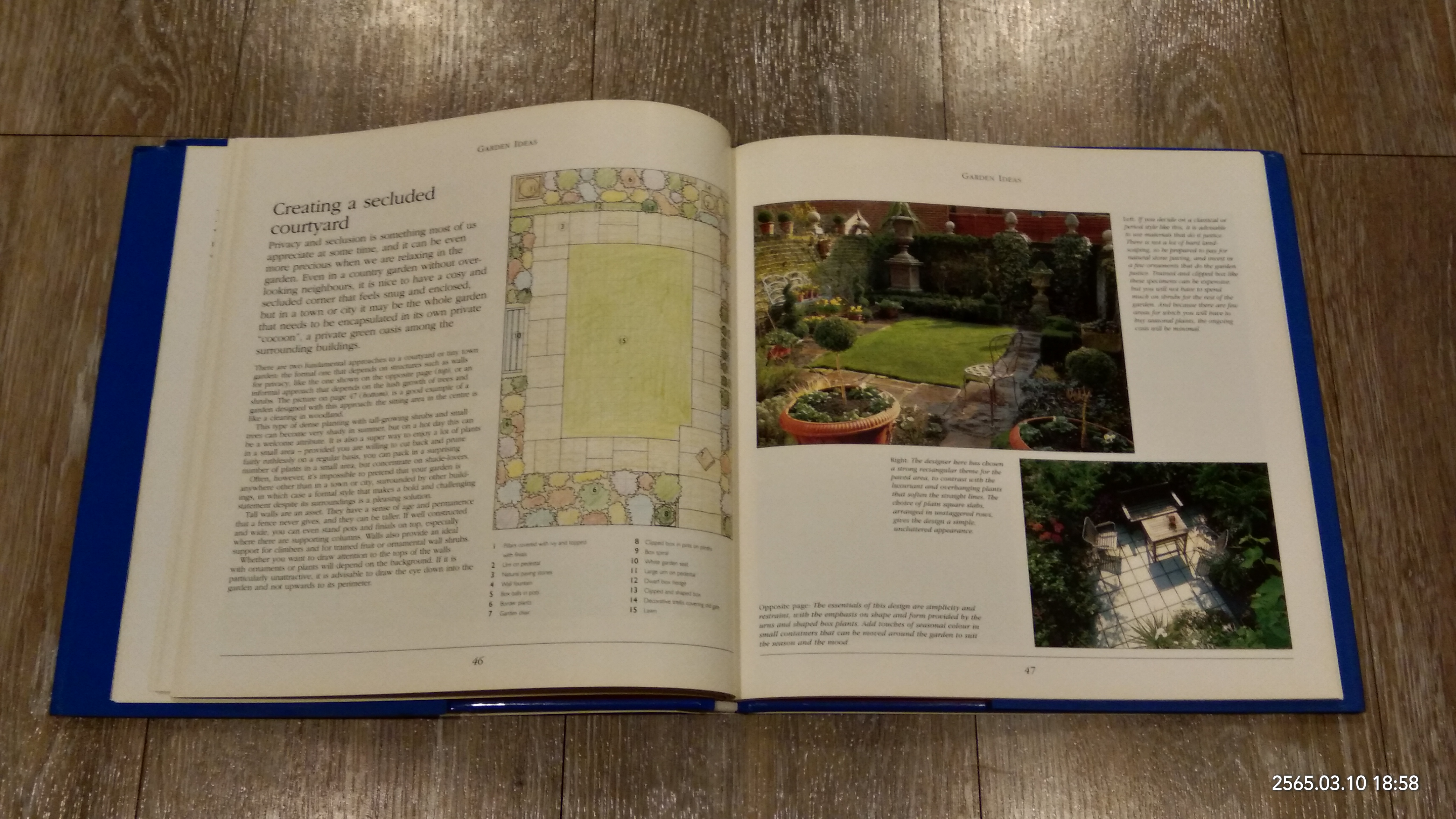 PLAN A PERFECT GARDEN / PETER MCHOY