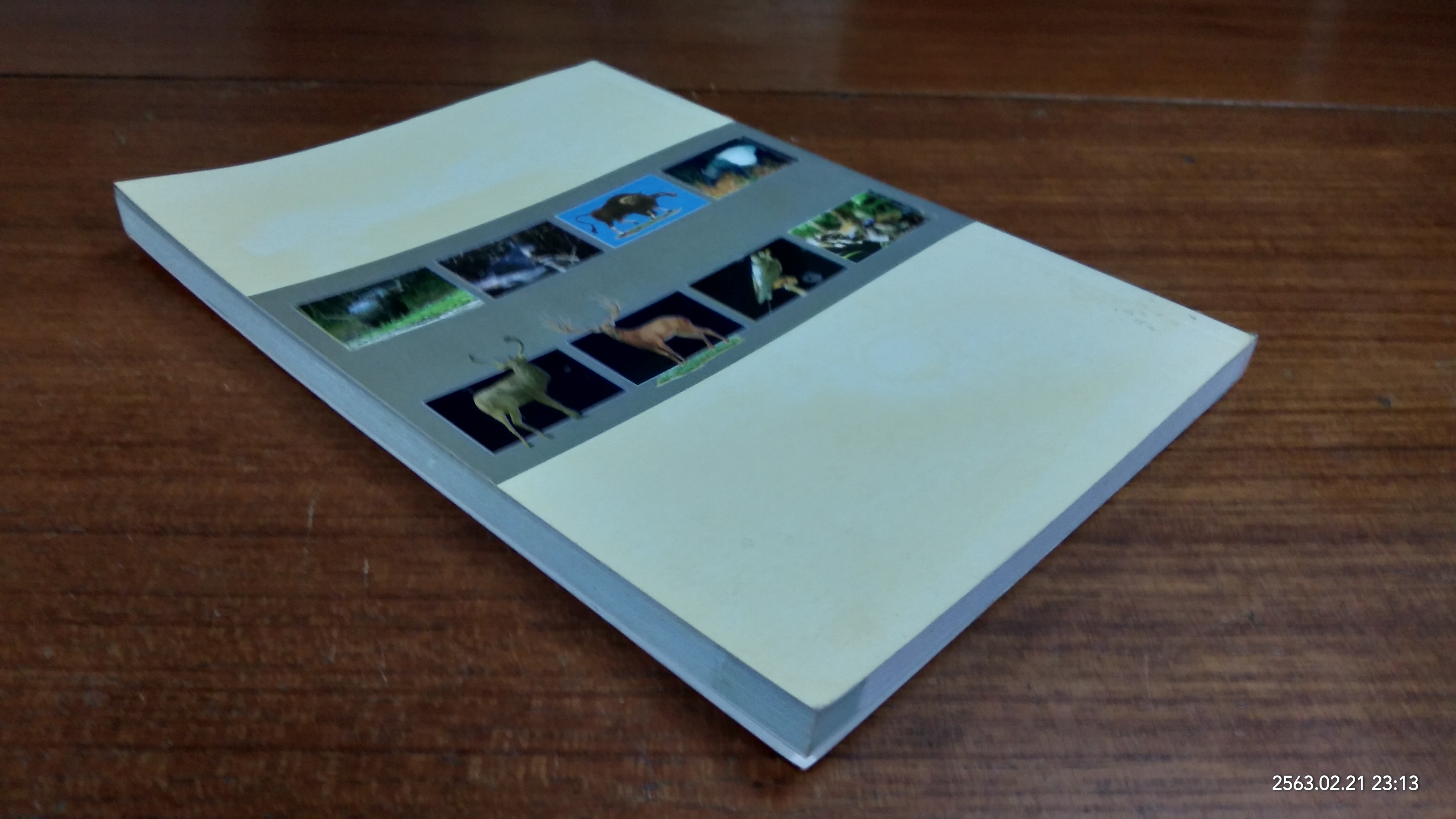 สัตว์ป่าสงวนในประเทศไทย / กรมอุทยานแห่งชาติ