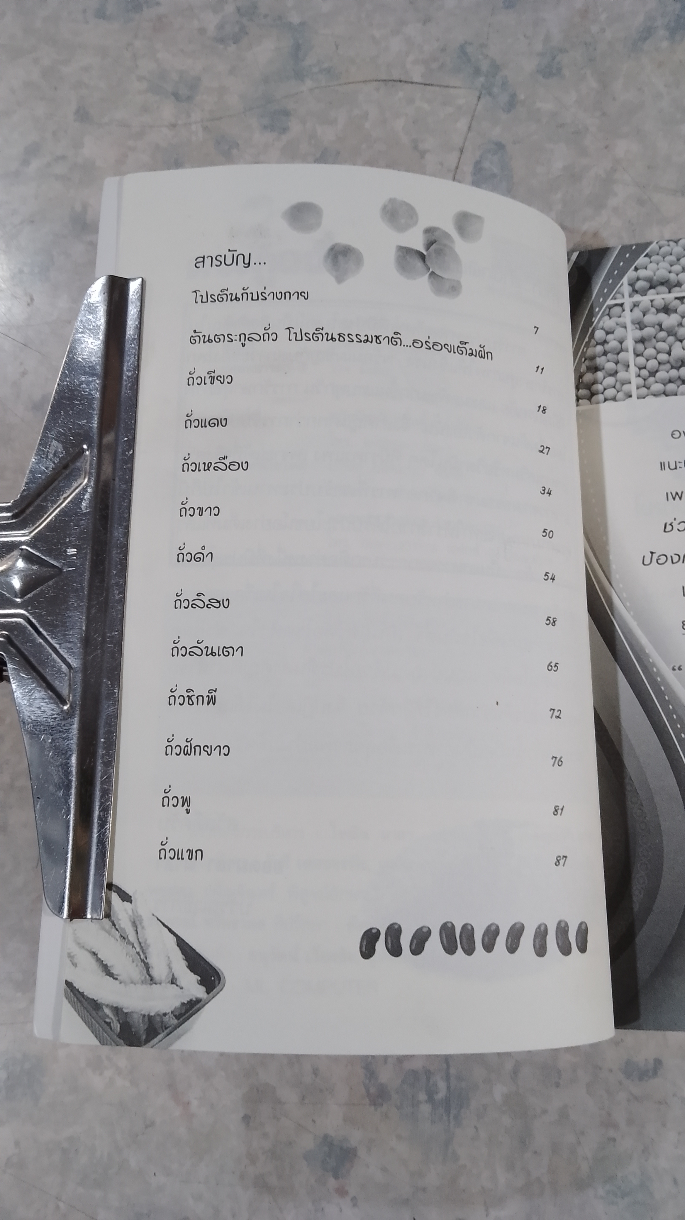 ต้นตระกูลถั่ว / พญ.อารีย์ โอบอ้อมรัก