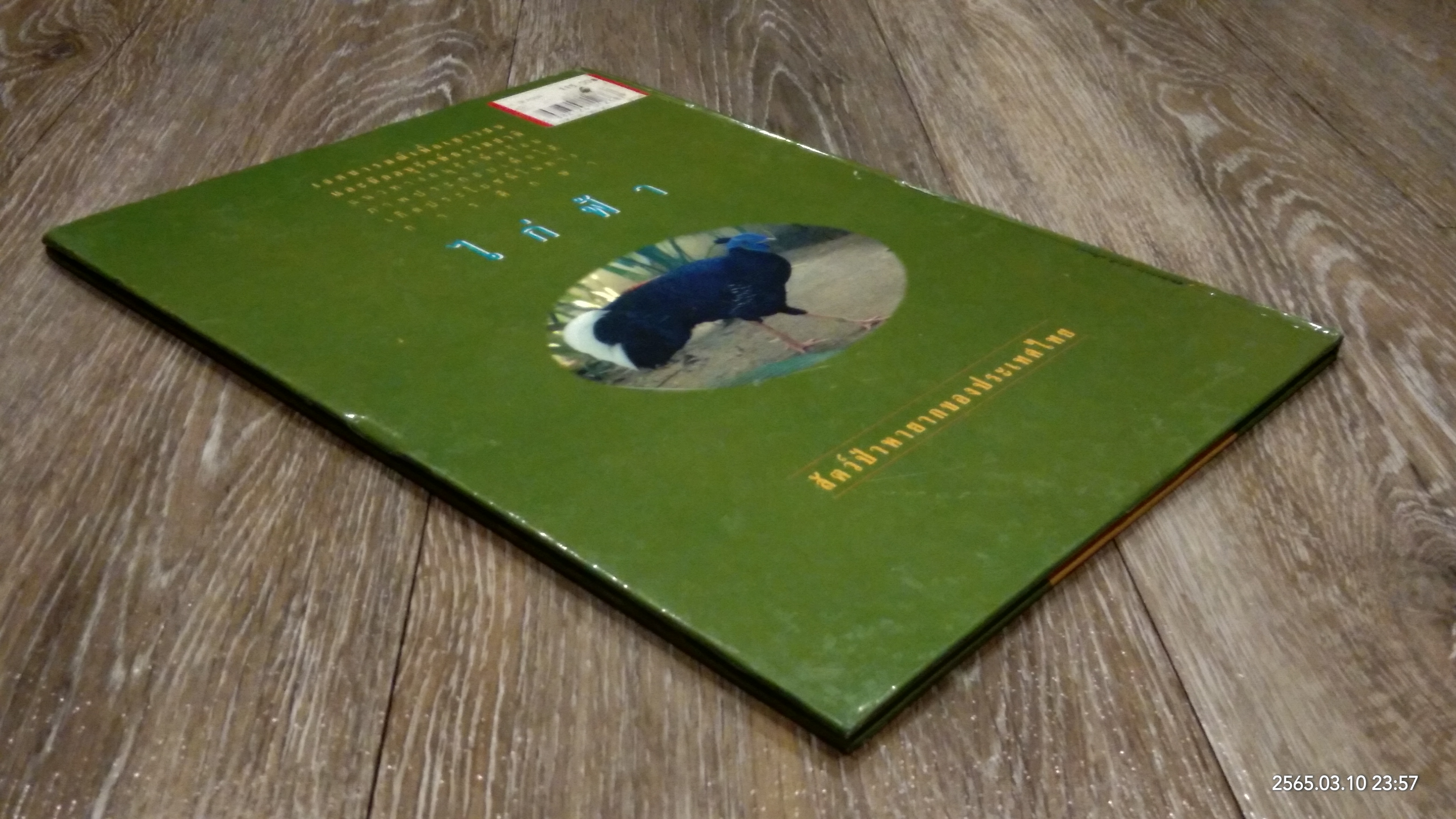 ไก่ฟ้า สัตว์ป่าหายาก ของไทย / วิชิต สิงห์ทอง