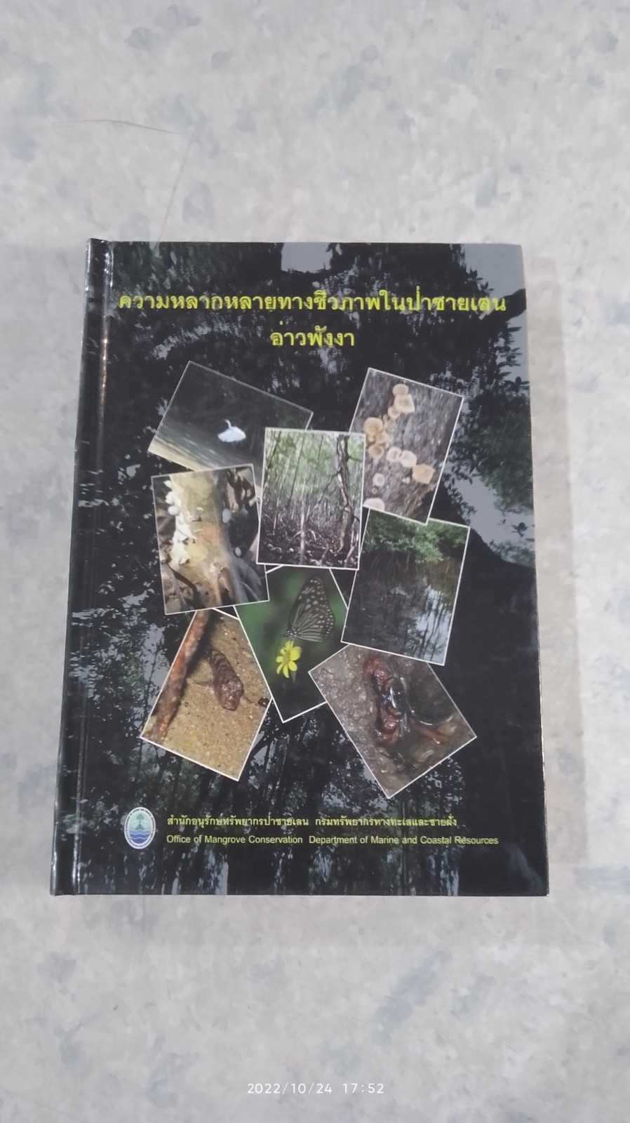 ความหลากหลายทางชีวภาพในป่าชายเลน อ่าวพังงา
