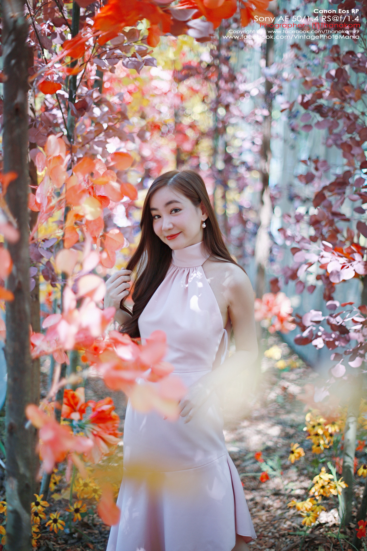 Minolta AF 50/1.4 *Sony A Mount เลนส์ไวแสงละลายฉากหลังสวยสำหรับกล้อง Sony DSLR