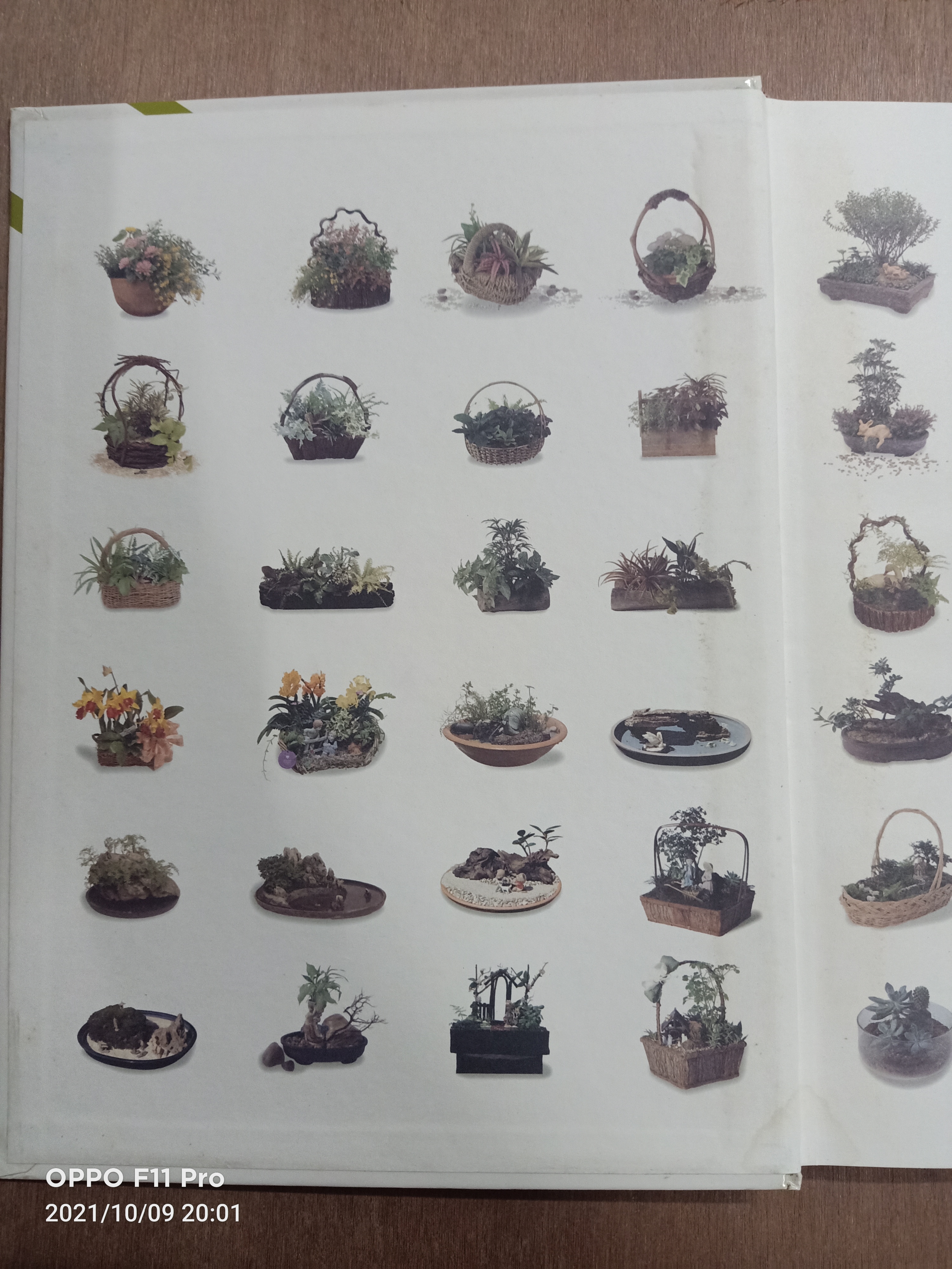 สวนในบ้าน เล่มที่4 การจัดสวนถาด / บ้านและสวน