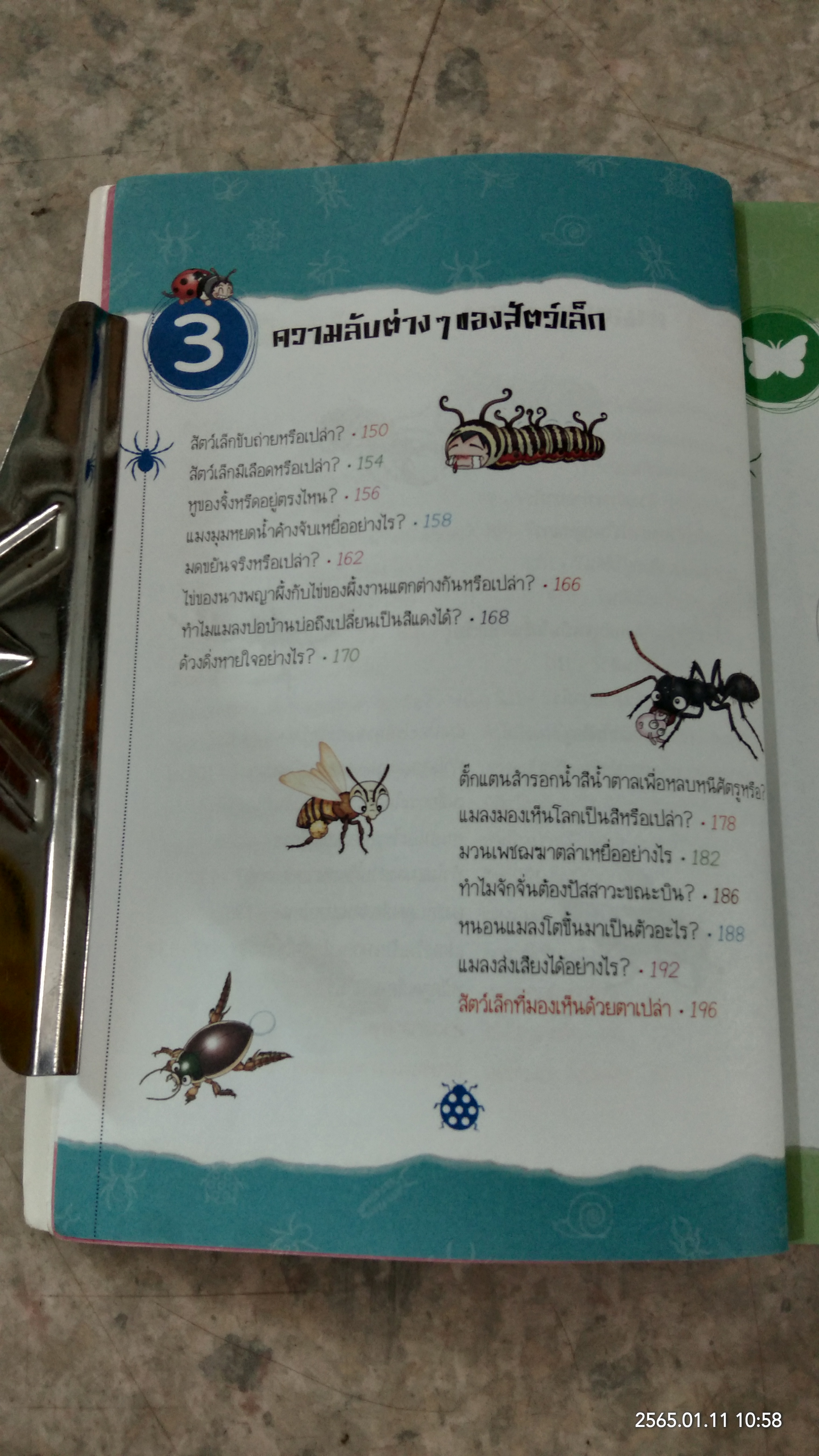 วิทยาศาสตร์ เล่ม 18 เรื่อง โลกของสัตว์เล็ก