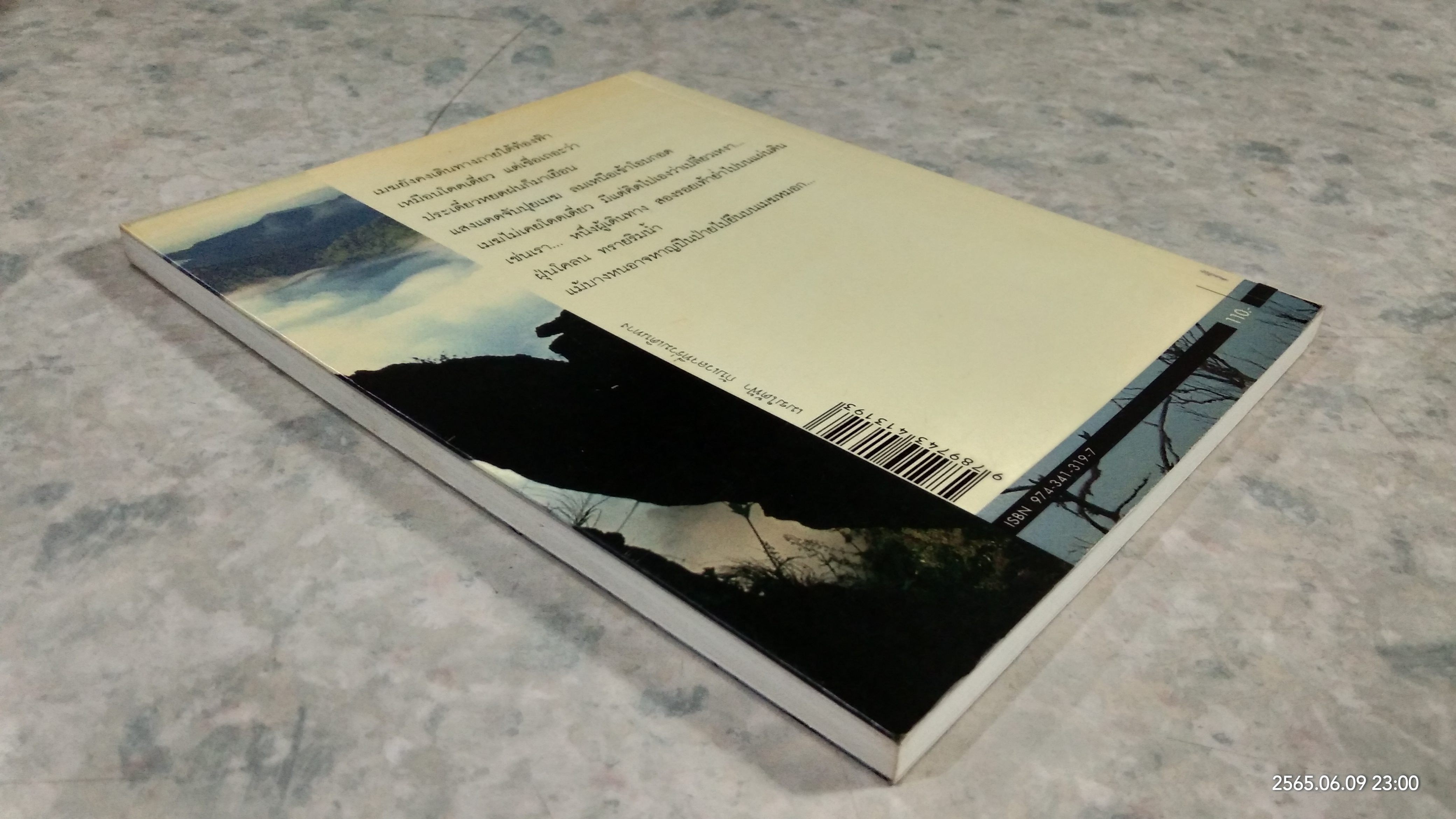 เมฆใต้ฟ้า กับเวลาที่ร่วมเดืนทาง / ศรัทธา ลาภวัฒนเจริญ